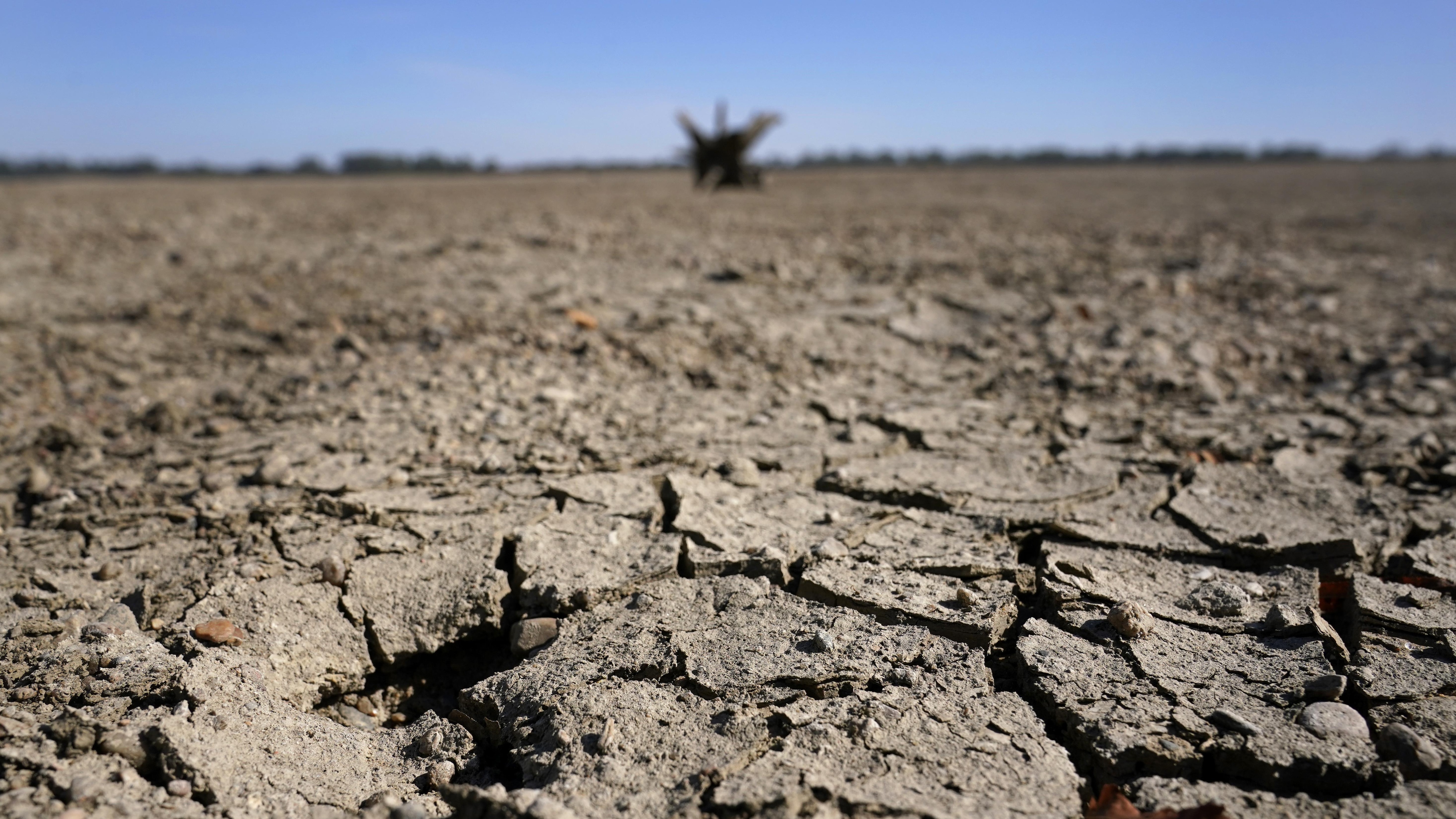 Après la sécheresse, les agriculteurs doivent jongler avec le froid ...