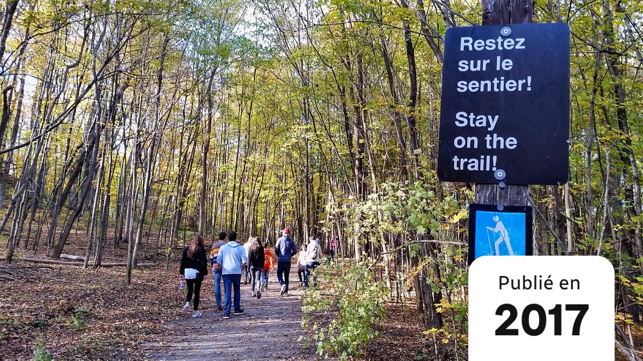 Sentier Velo Parc Gatineau : Browse Our Selection Of 9 Indulging Spa Resorts & Hotels In Gatineau.