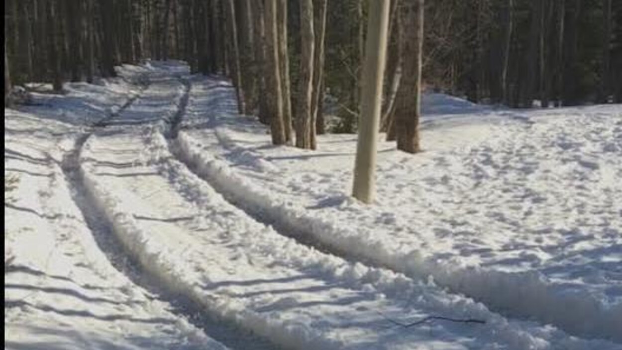 Moncton les sentiers de ski du parc du Centenaire endommagés par un