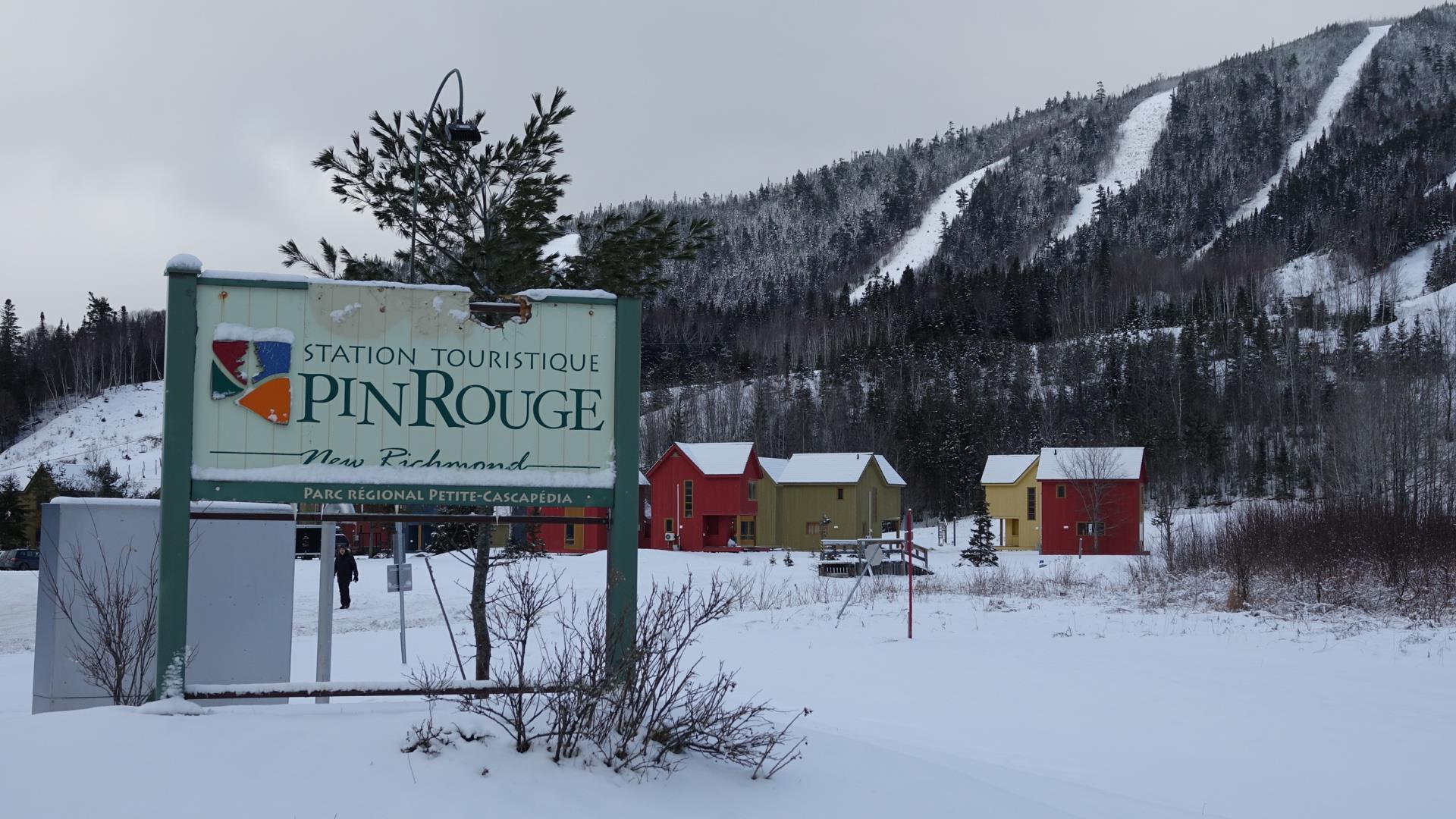 Pin Rouge a trouvé sa nouvelle directrice générale