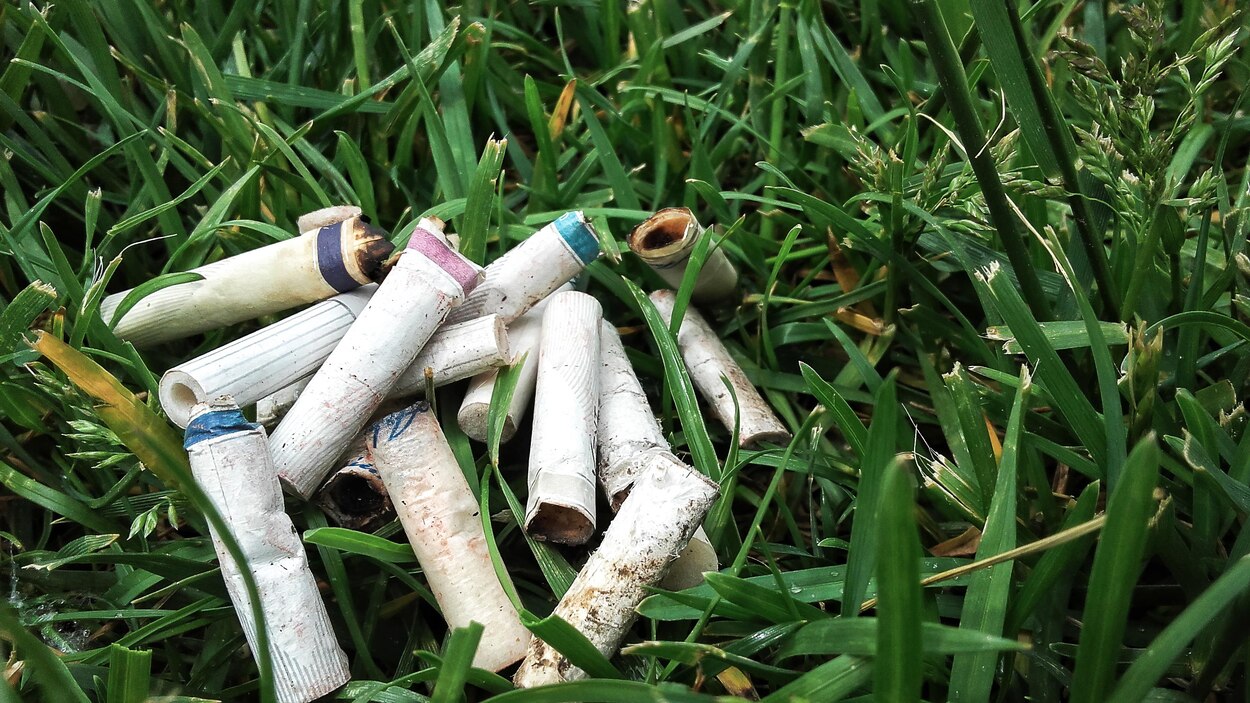 when were cigarette filters invented Amazon.com: TarGard Venturi Style Disposable Filters | 800-1,000+ Cigarettes  Filtered per 100 Pack | Effective XL Filter, Not Just A Holder