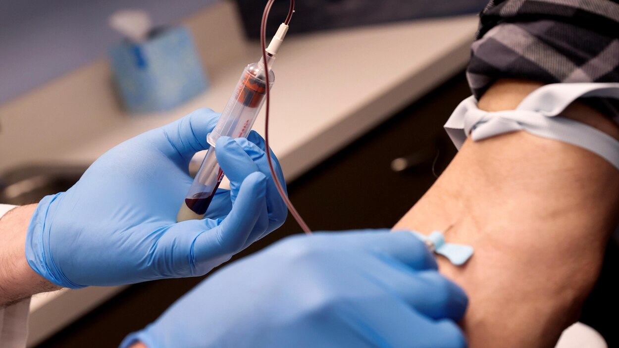 Un test sanguin permet d’étudier l’ADN du cancer de la prostate | Radio ...
