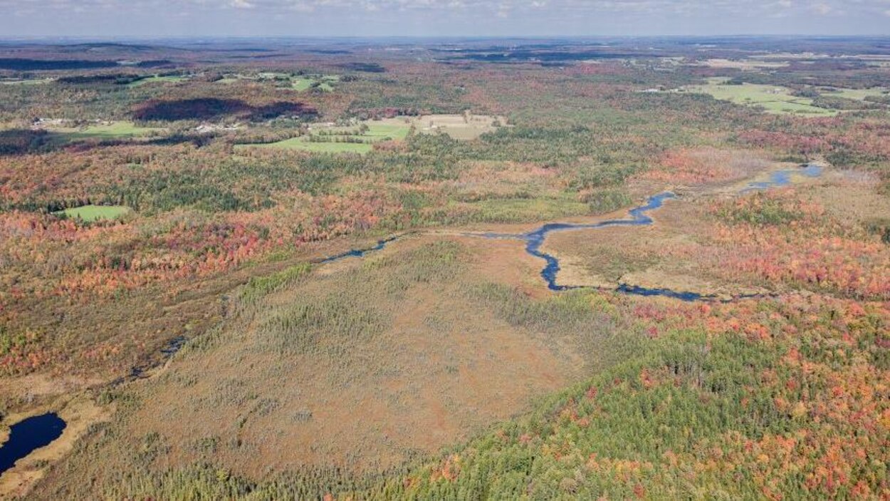 La tourbière de SaintJoachimdeShefford mieux protégée grâce à un don écologique RadioCanada