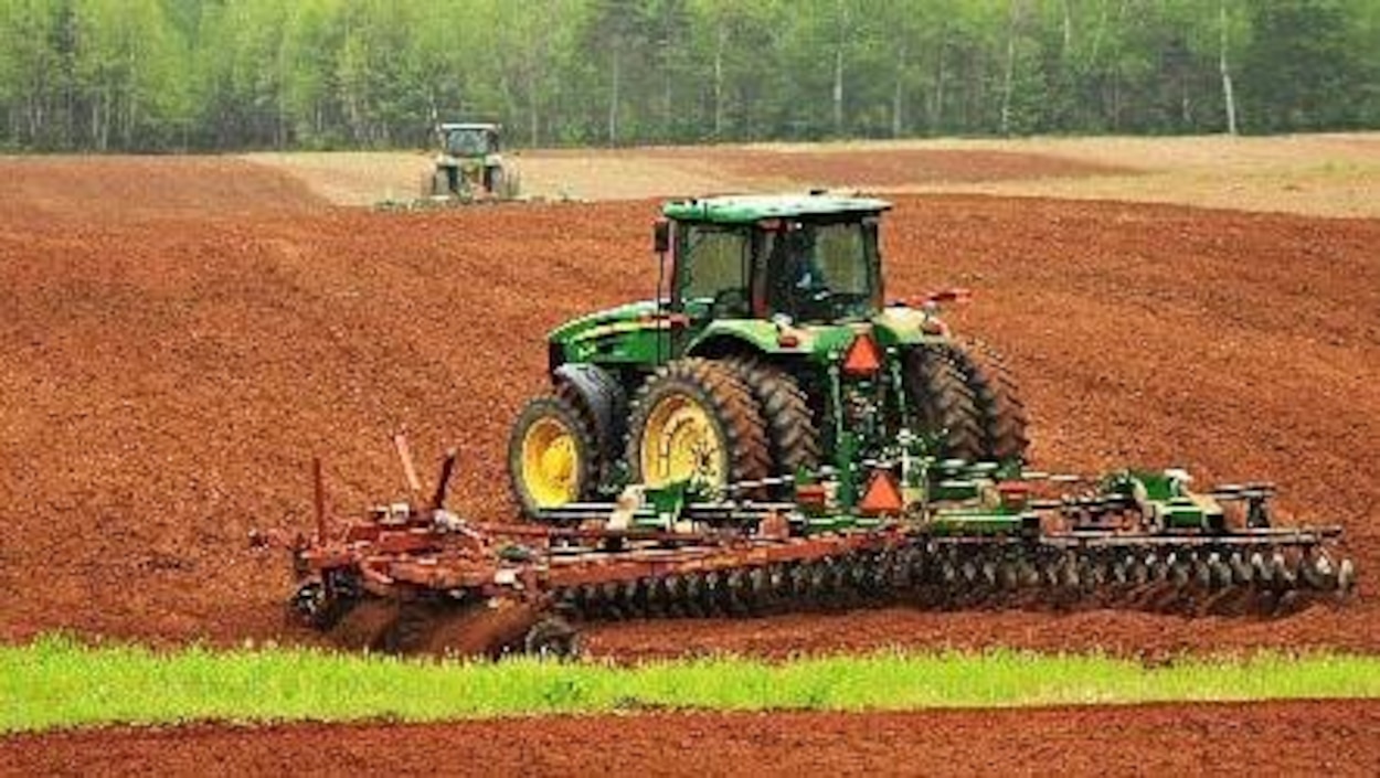 La vente de terres agricoles à l’Î.P.É. jugée préoccupante  Radio