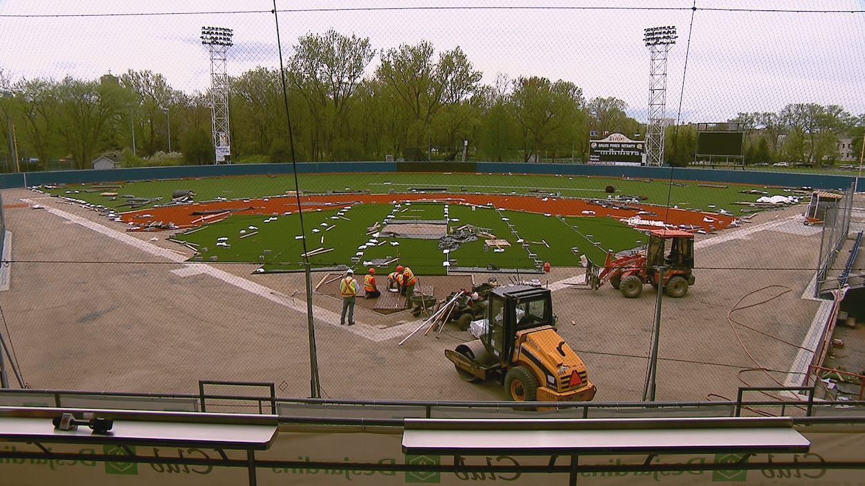 Du Baseball Comme Prevu Jeudi A Quebec Radio Canada Ca