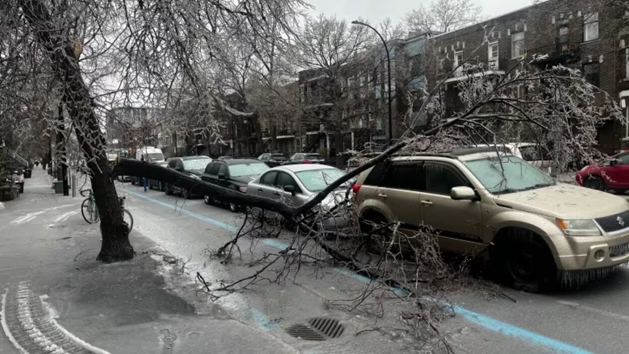 Southwestern Quebec hit with freezing rain, tens of thousands without ...