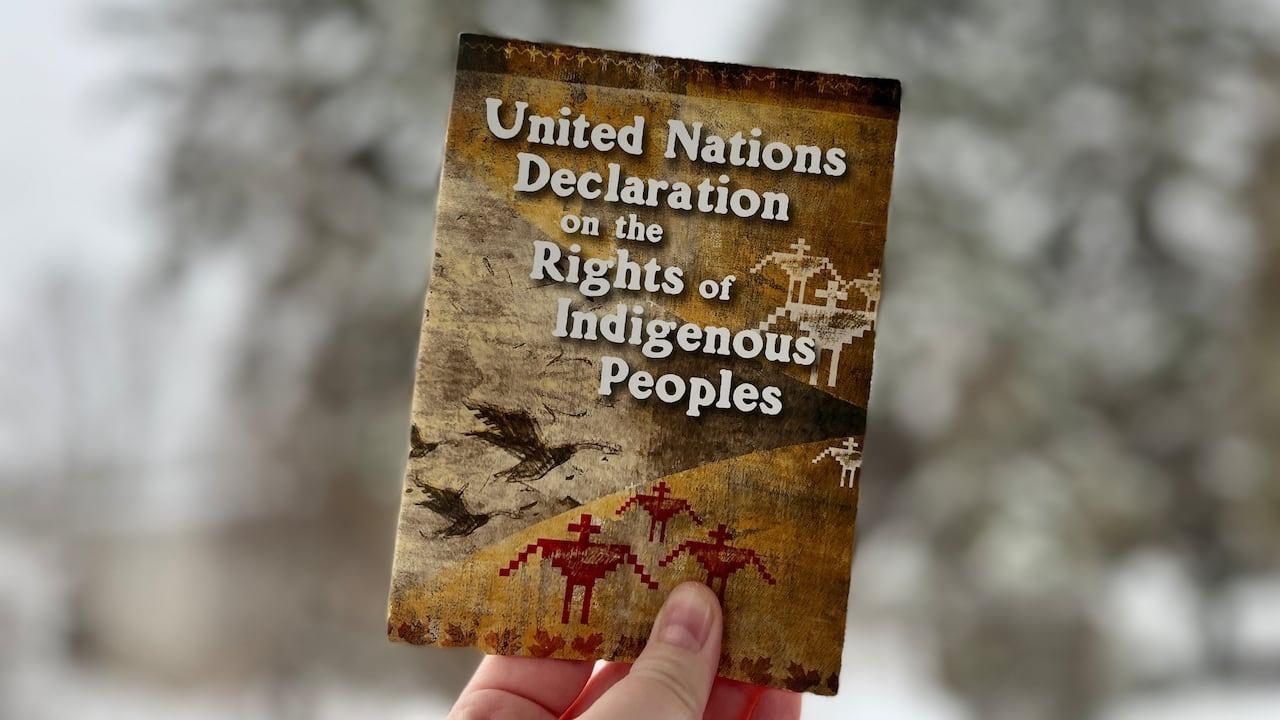 Undrip Principles Ottawa releases action plan to implement UNDRIP | Radio-Canada.ca