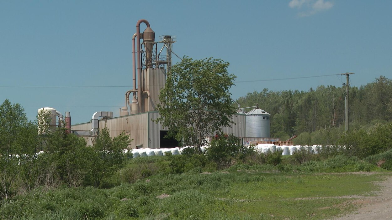 SaintFrançoisdeMadawaska des odeurs, mais pas de polluants nocifs