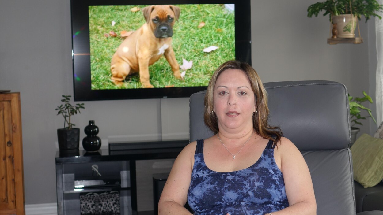 En direct, États-Unis : elle veut se faire enterrer avec son chien et le  fait euthanasier