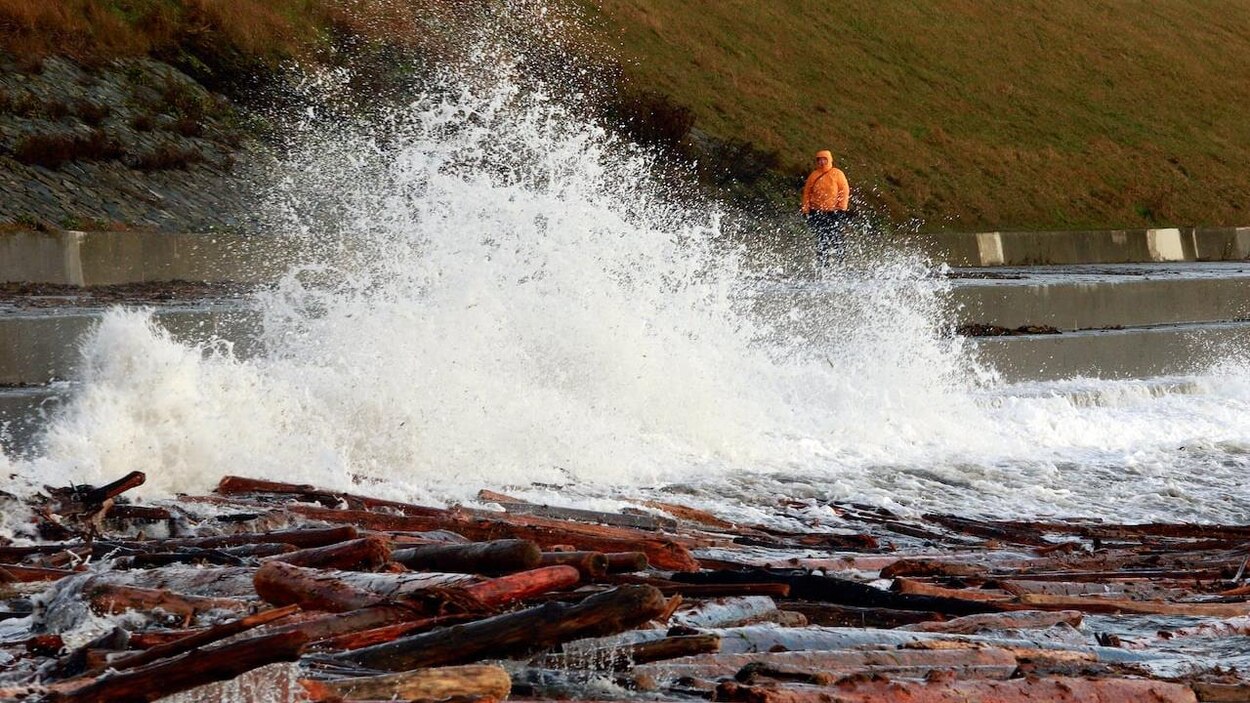 Another storm approaches Vancouver Island as B.C. Hydro crews race to ...