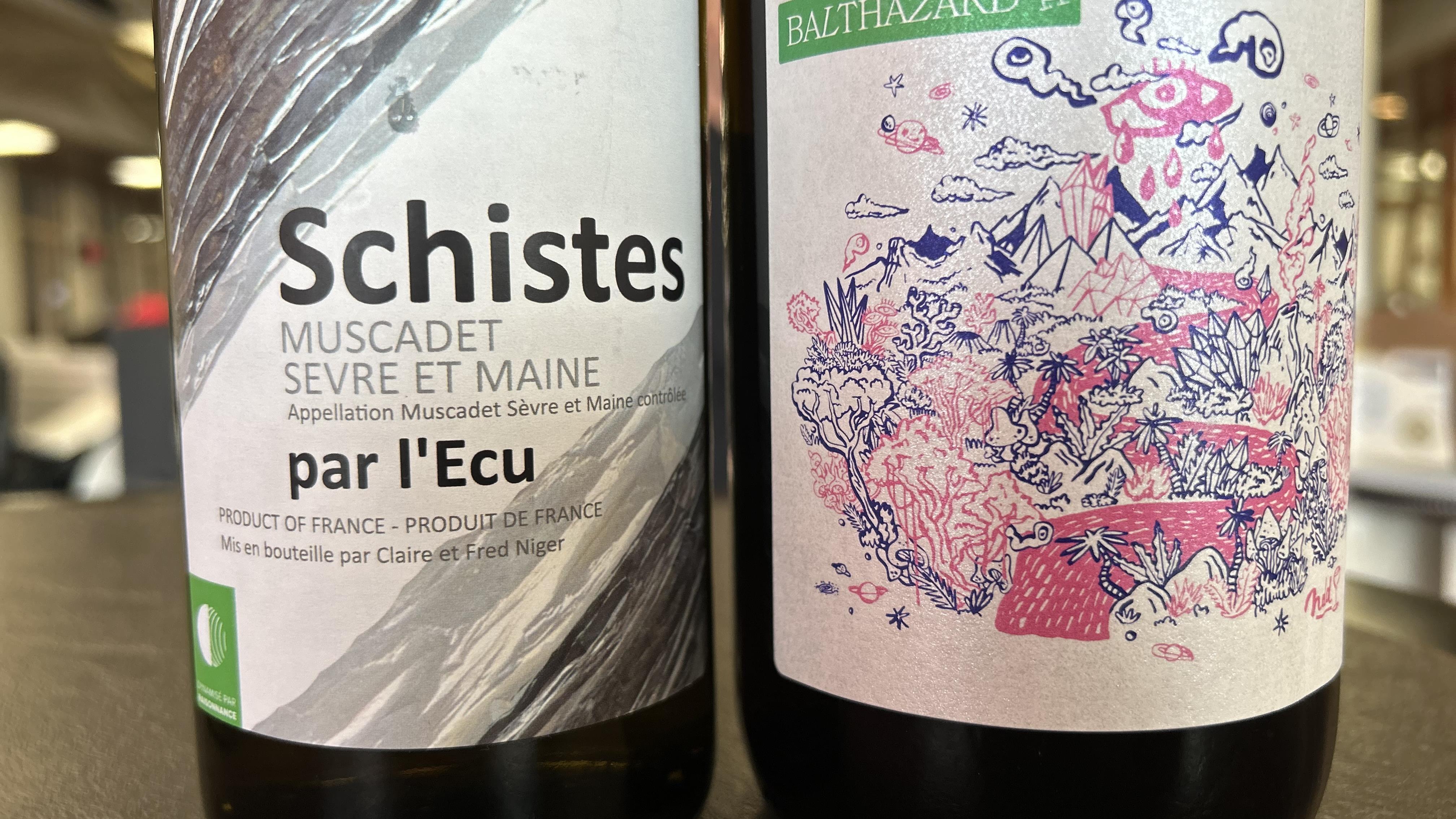 Deux vins printaniers présentés par Martin Saucier