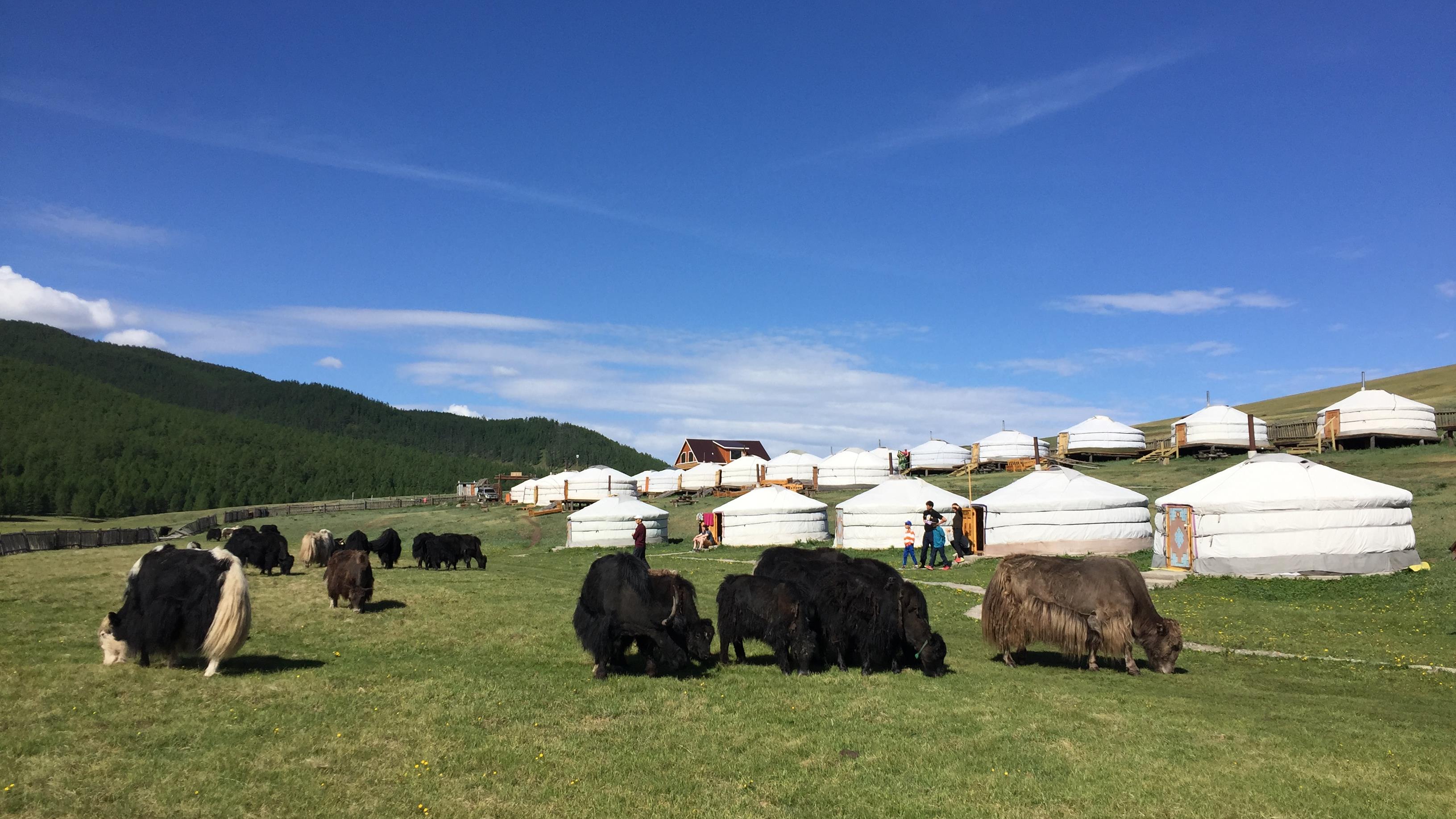 Etre Nomade En Mongolie Le Temps D Un Voyage Style Libre