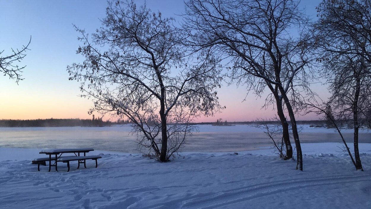 Hivers Plus Doux Des Scientifiques Nous Mettent En Garde Radio Canada Ca