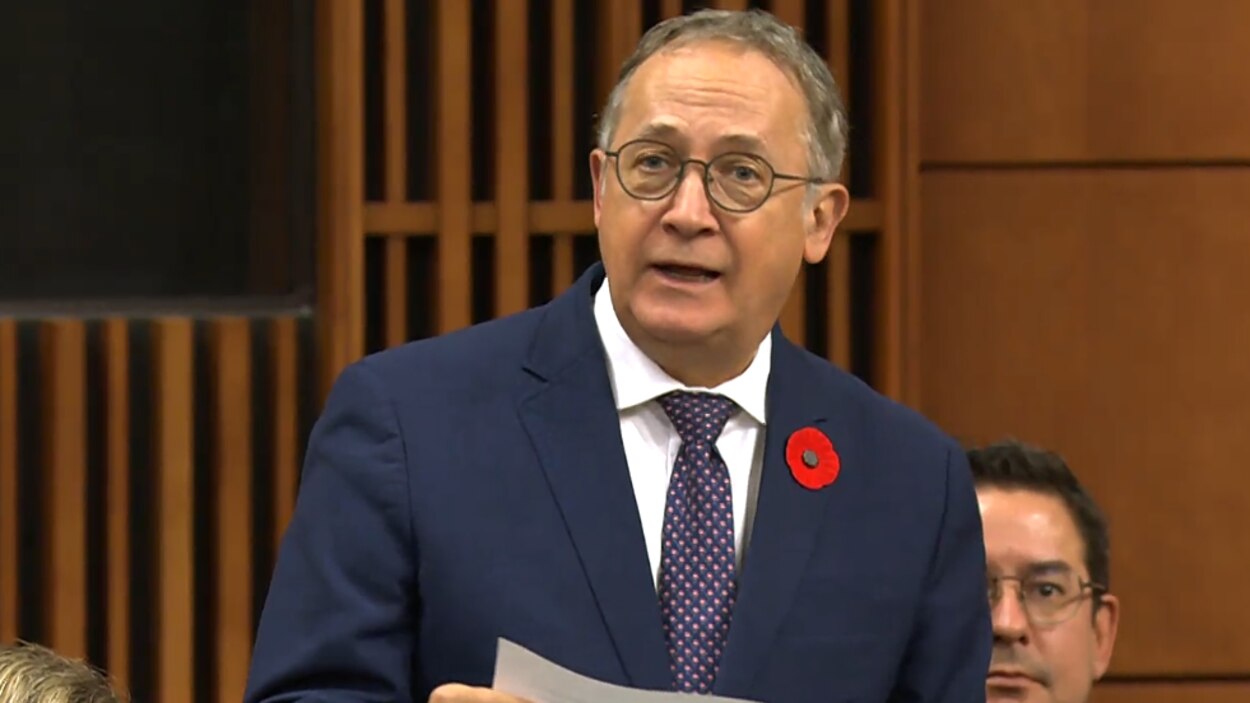 加拿大一致通过议案，否决中国对联合国有关台湾地位的解释 | Radio-Canada.ca