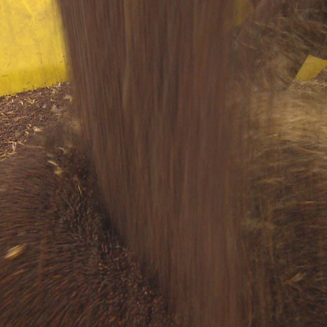 Toneladas de canola y de soja se acumulan en edificios de almacenamiento de los productores canadienses 