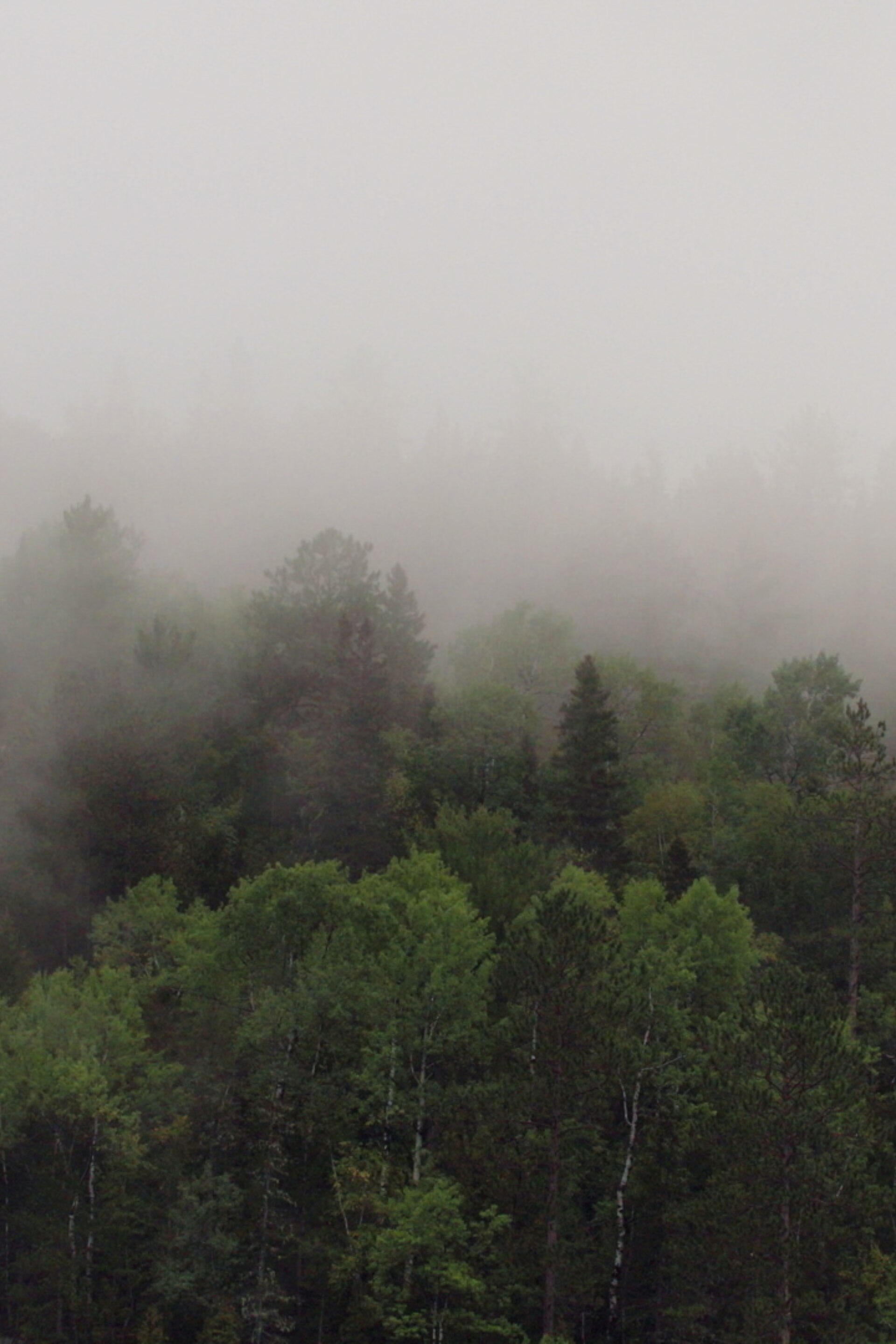 Des souhaits pour l'environnement en 2022
Des souhaits pour l'environnement en 2022