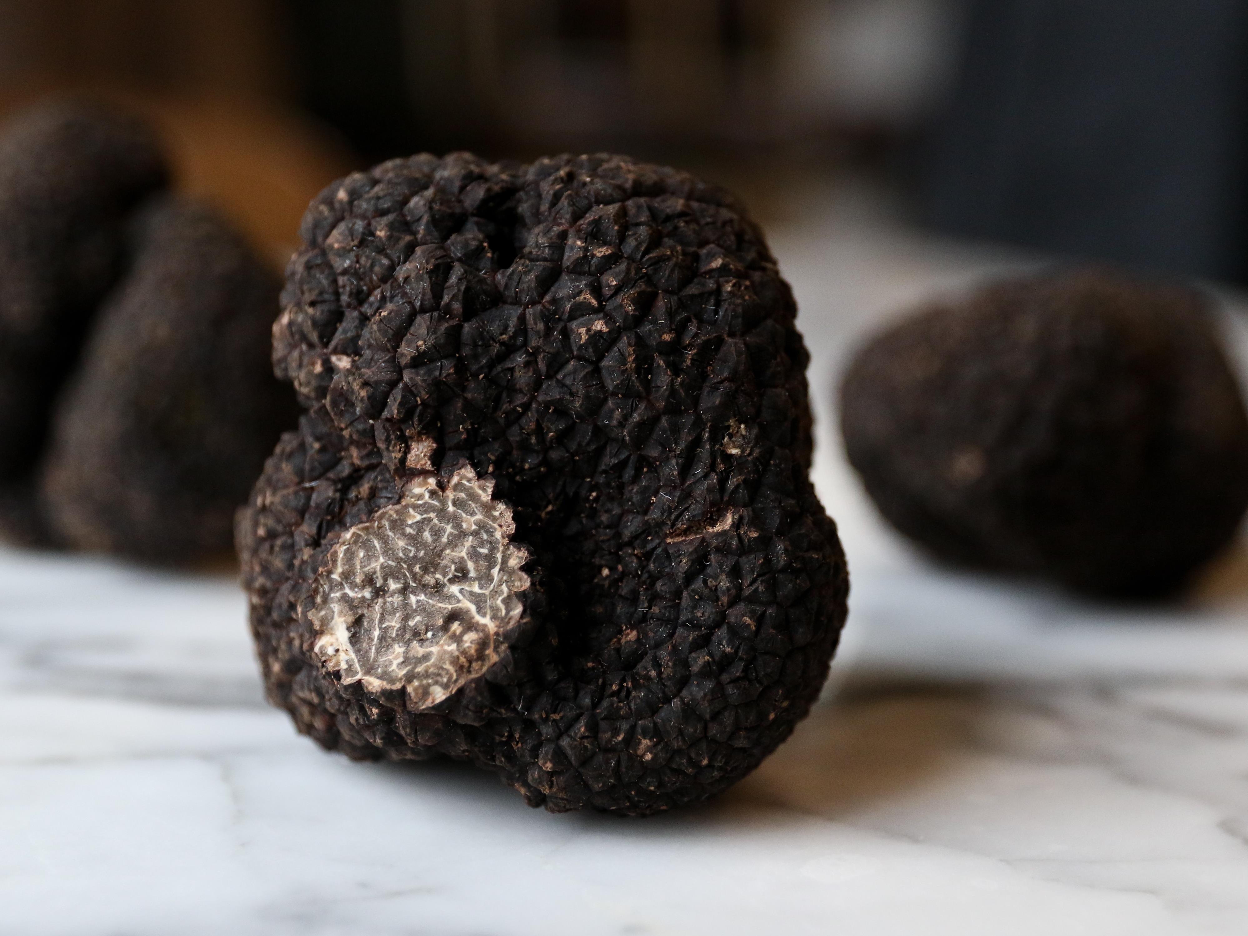 https://images.radio-canada.ca/v1/ici-info/4x3/cvld-truffe-battuto-truffe-dombrie-truffe-noire-nourriture-alimentation.jpg