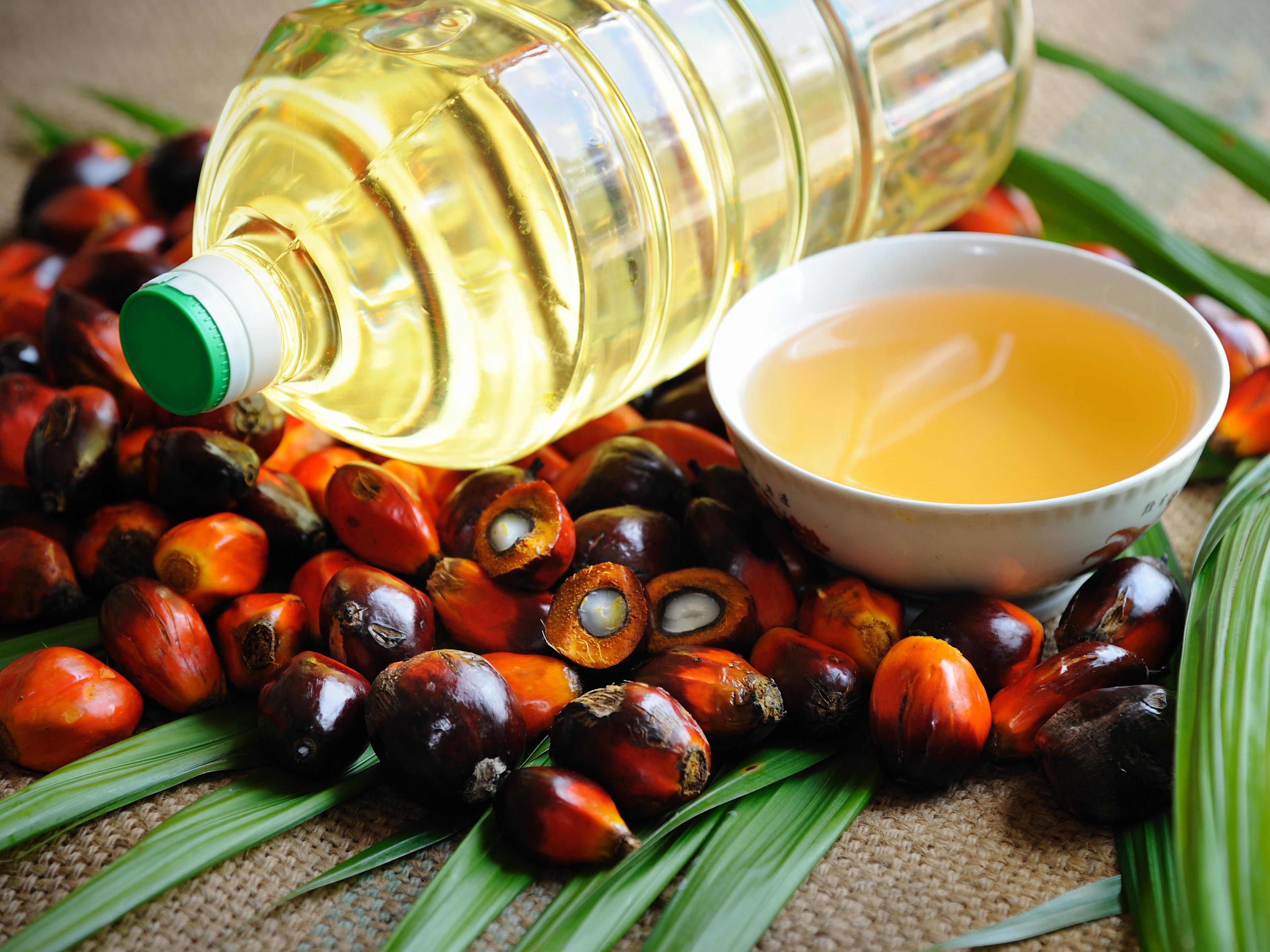 Impacts de l'huile de Palme sur la santé