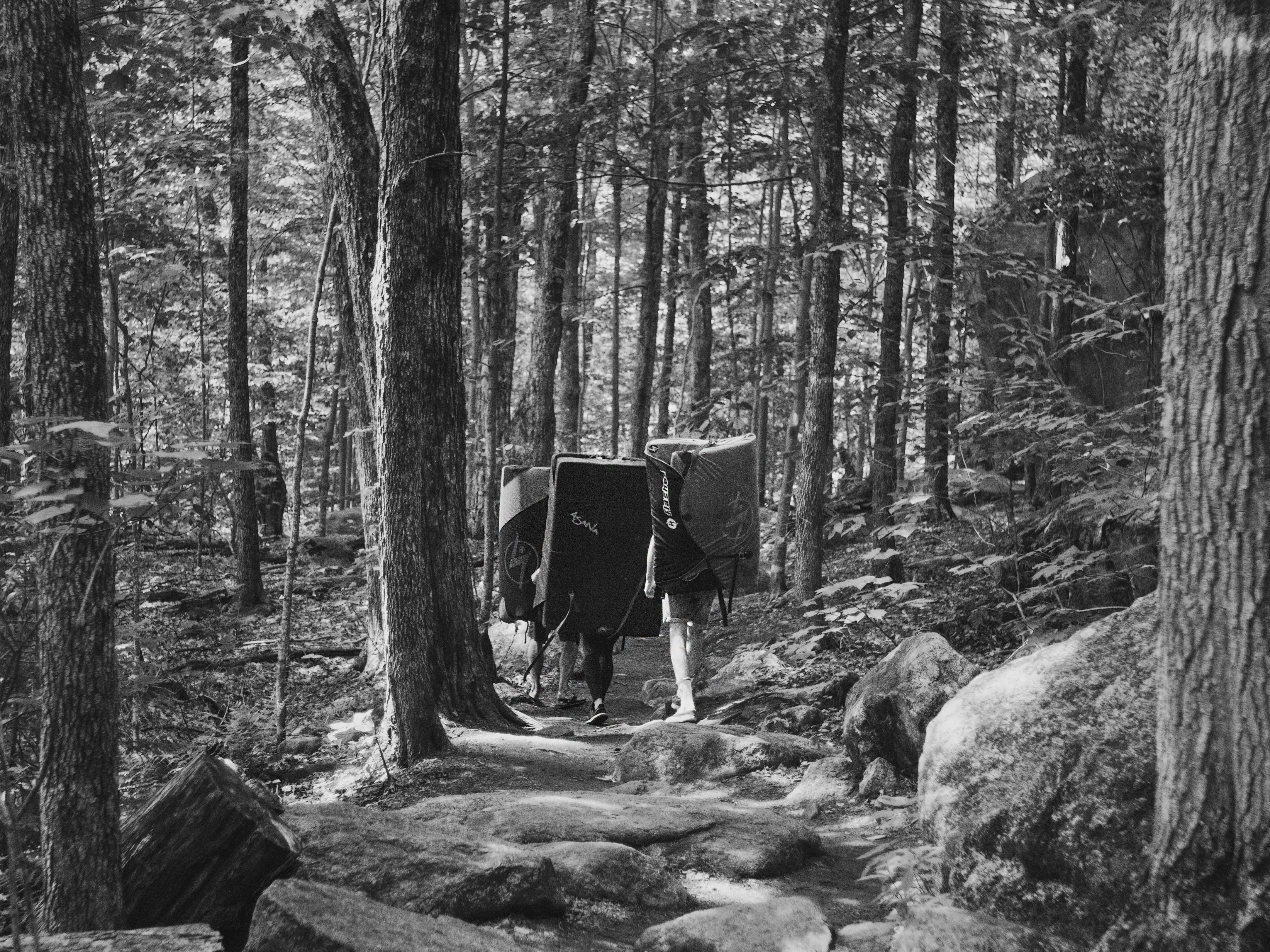 Trois grimpeurs marchent dans un sentier en forêt avec leur tapis d'escalade sur le dos