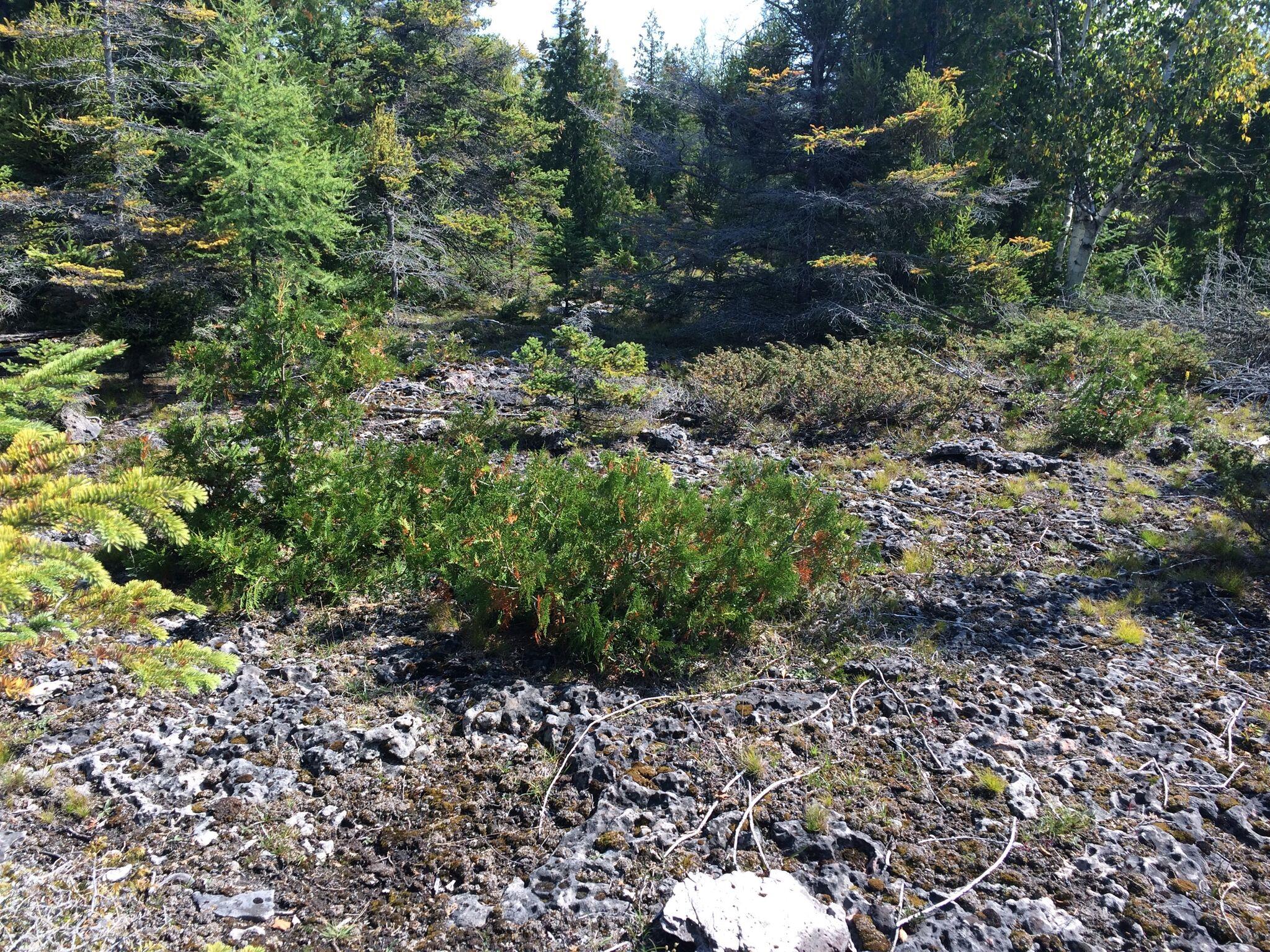60 hectares d'espaces naturels protégés dans la péninsule de Bruce