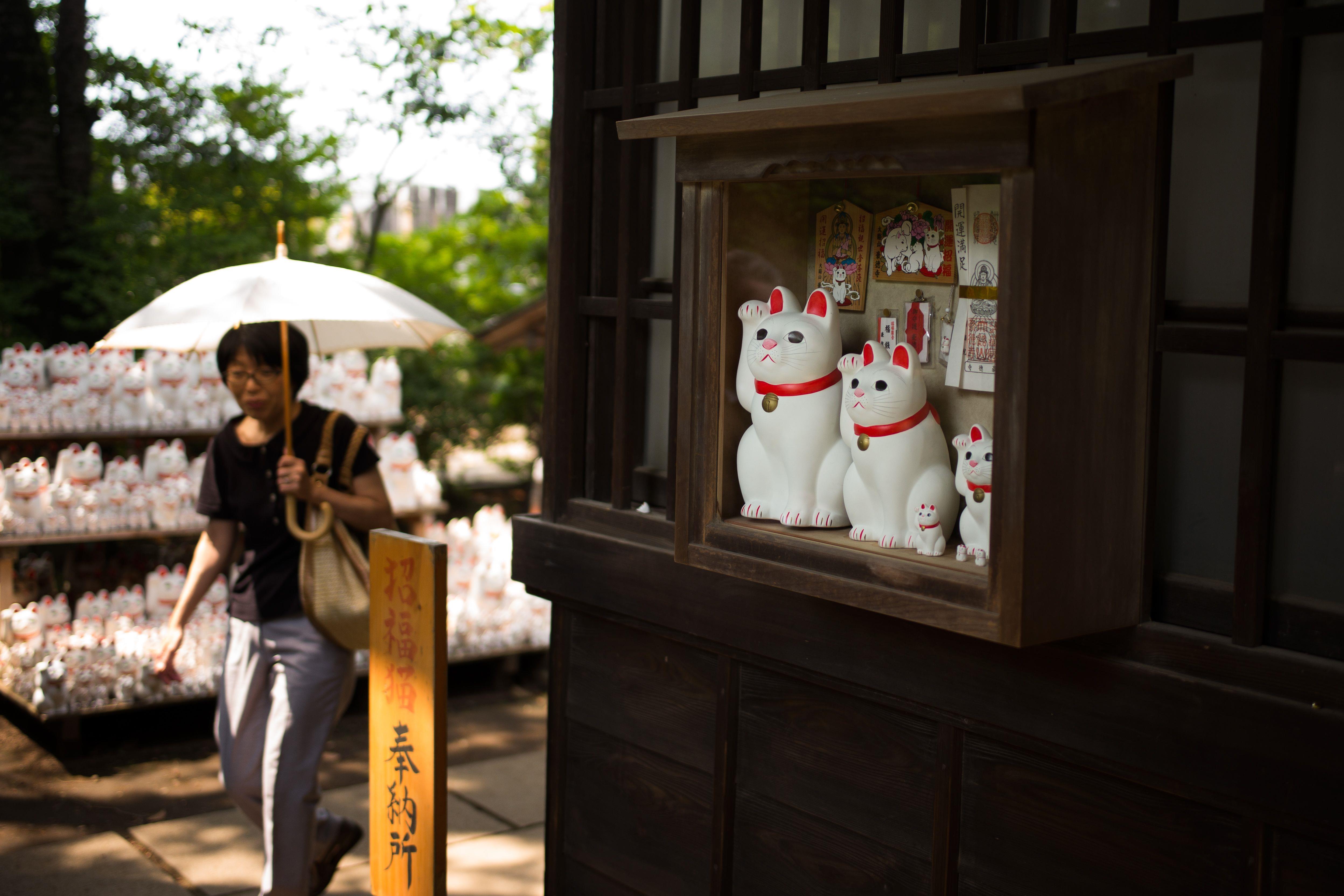 A Tokyo Un Temple De Chats Porte Bonheur Attire Les Adeptes D Instagram Radio Canada Ca