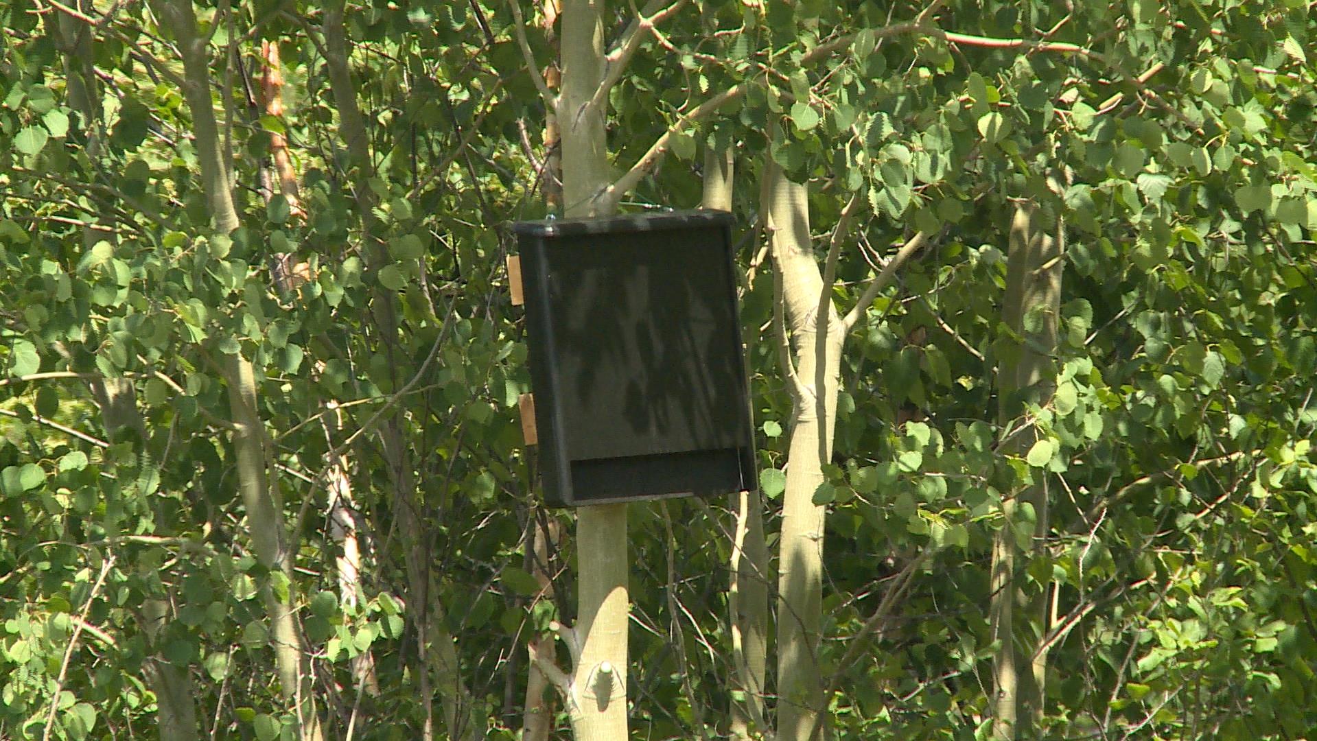 Un nouveau sentier au Parc des Pionniers de RadioCanada.ca Un nouveau sentier au Parc des Pionniers de RadioCanada.ca