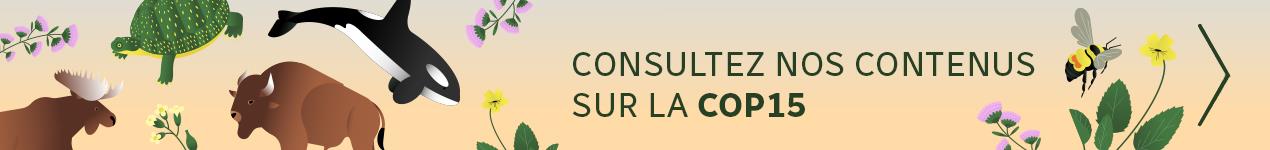 COP15 : Le Difficile Choix Des Mots Pour L’avenir De La Biodiversité ...