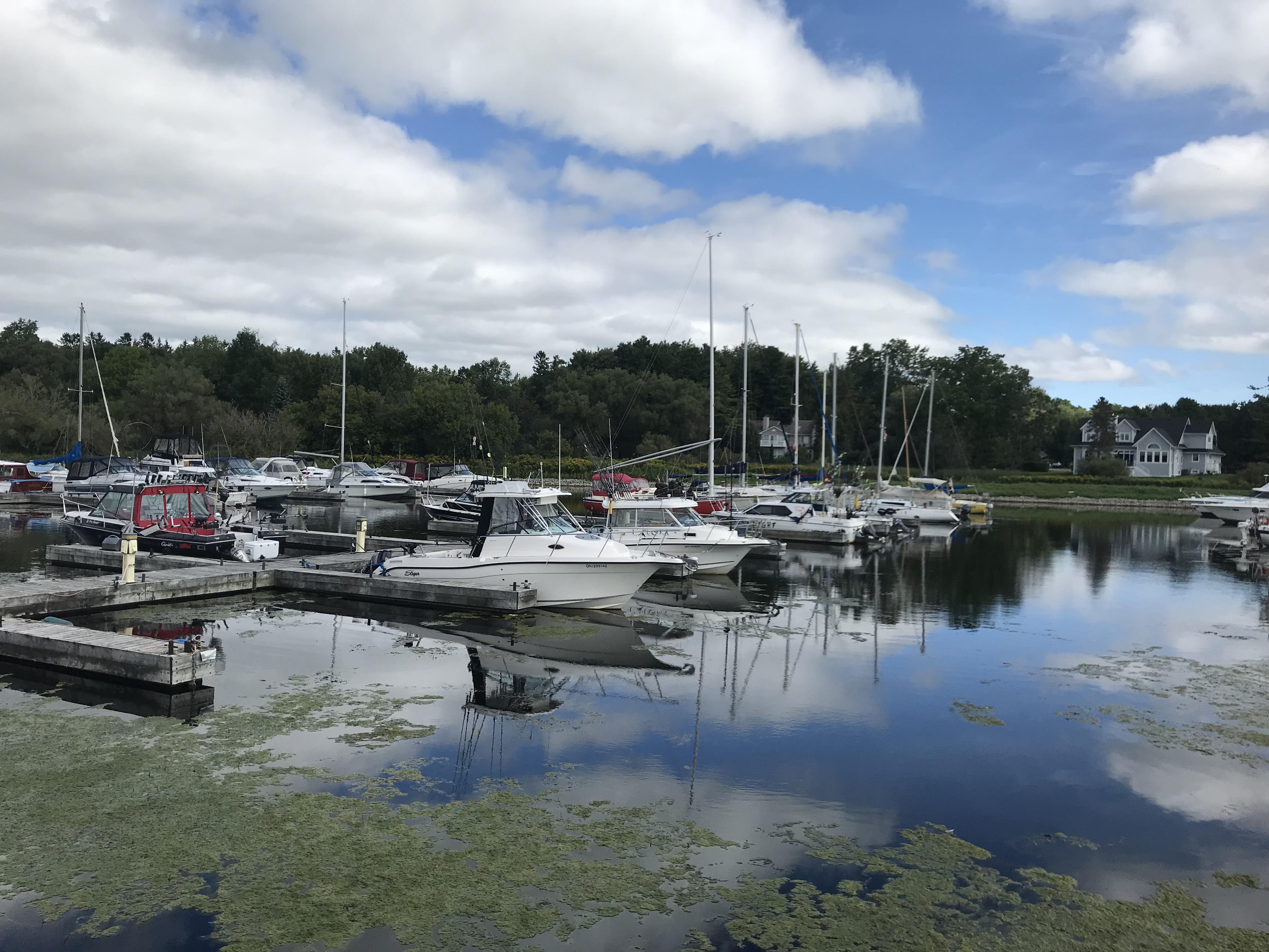 Le saumon du lac Ontario attire les pêcheurs québécois RadioCanada.ca