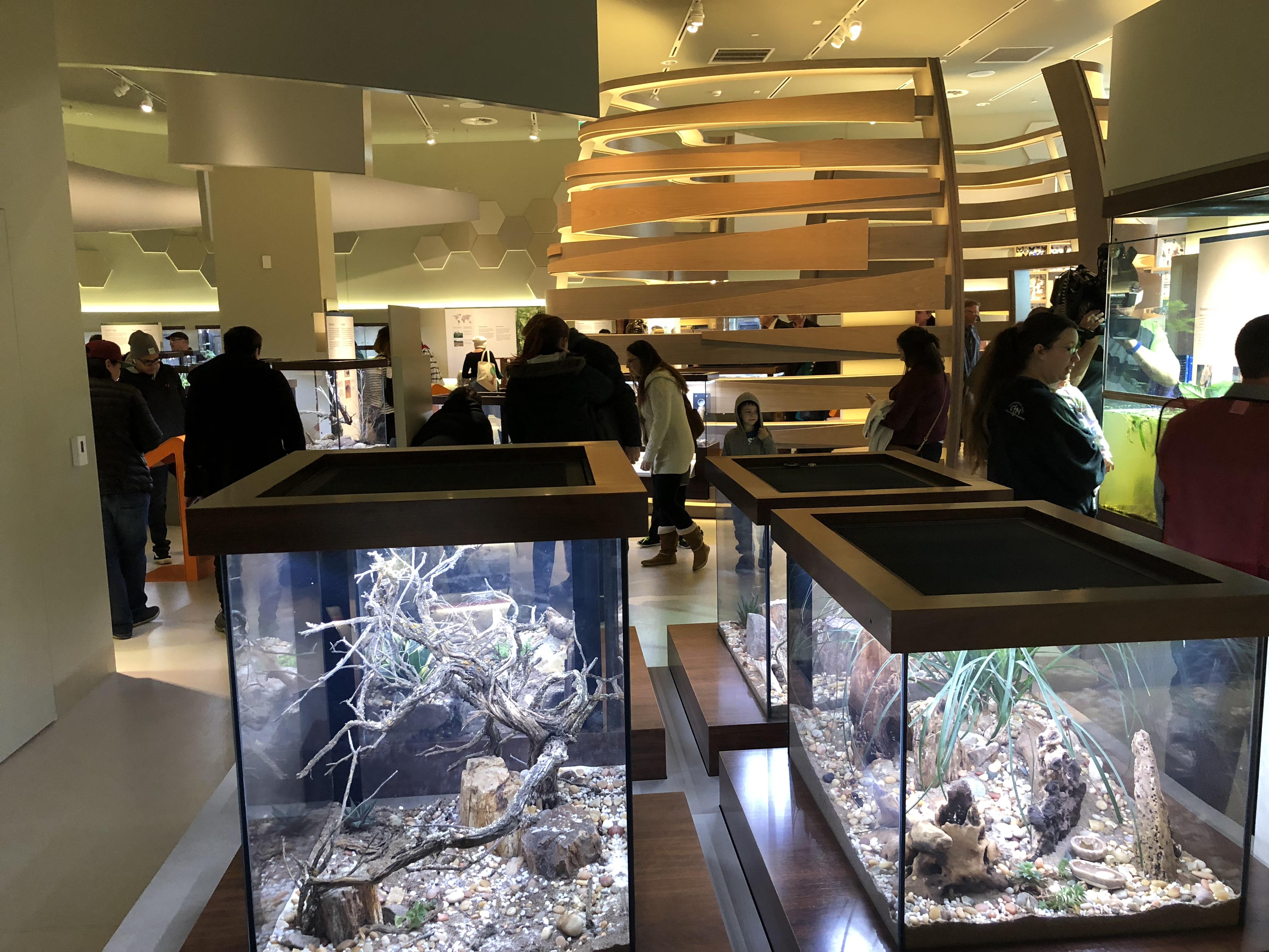Partez à la découverte du nouveau Musée royal de l'Alberta! | Radio ...