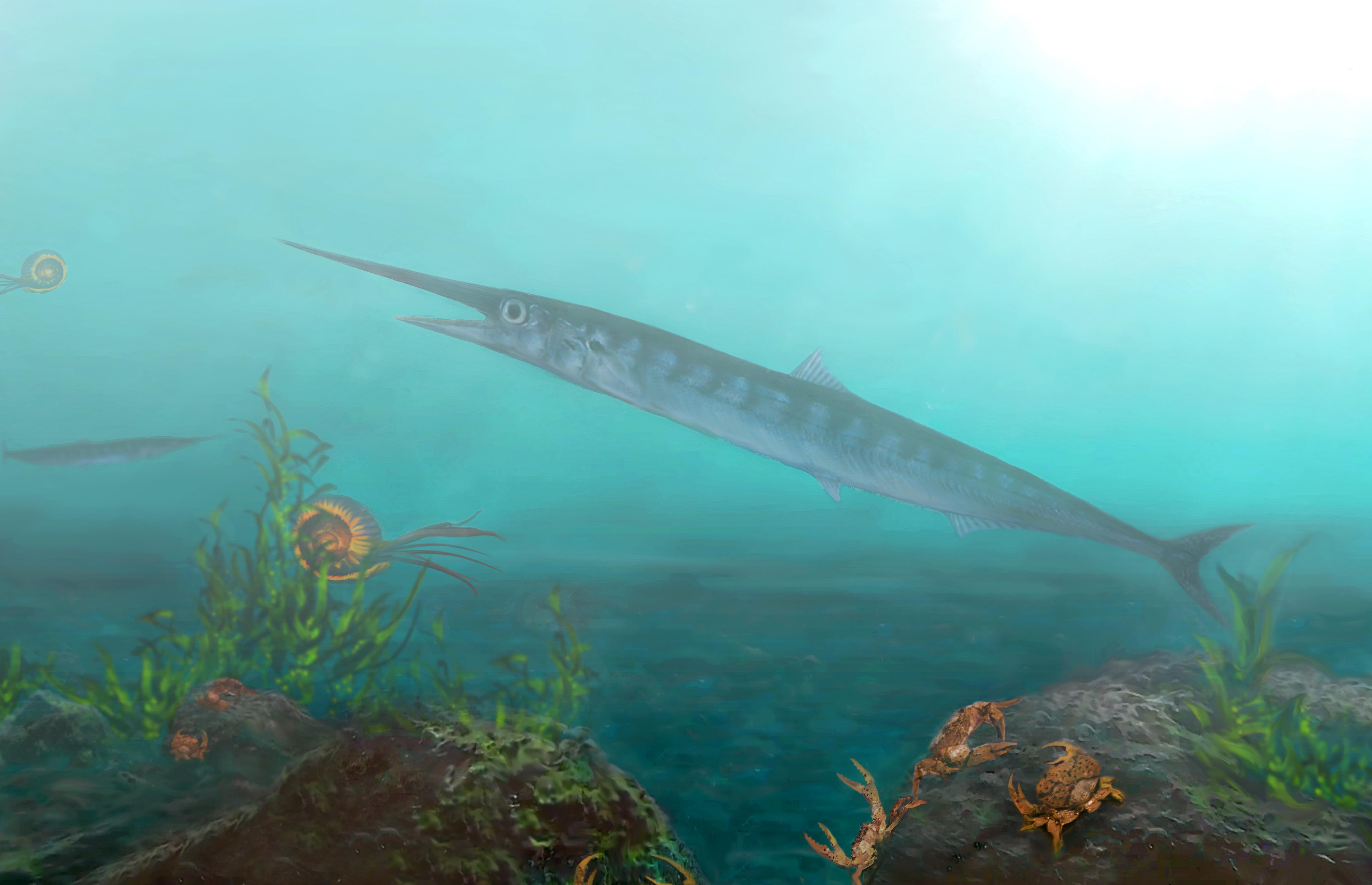 Mon poisson datant