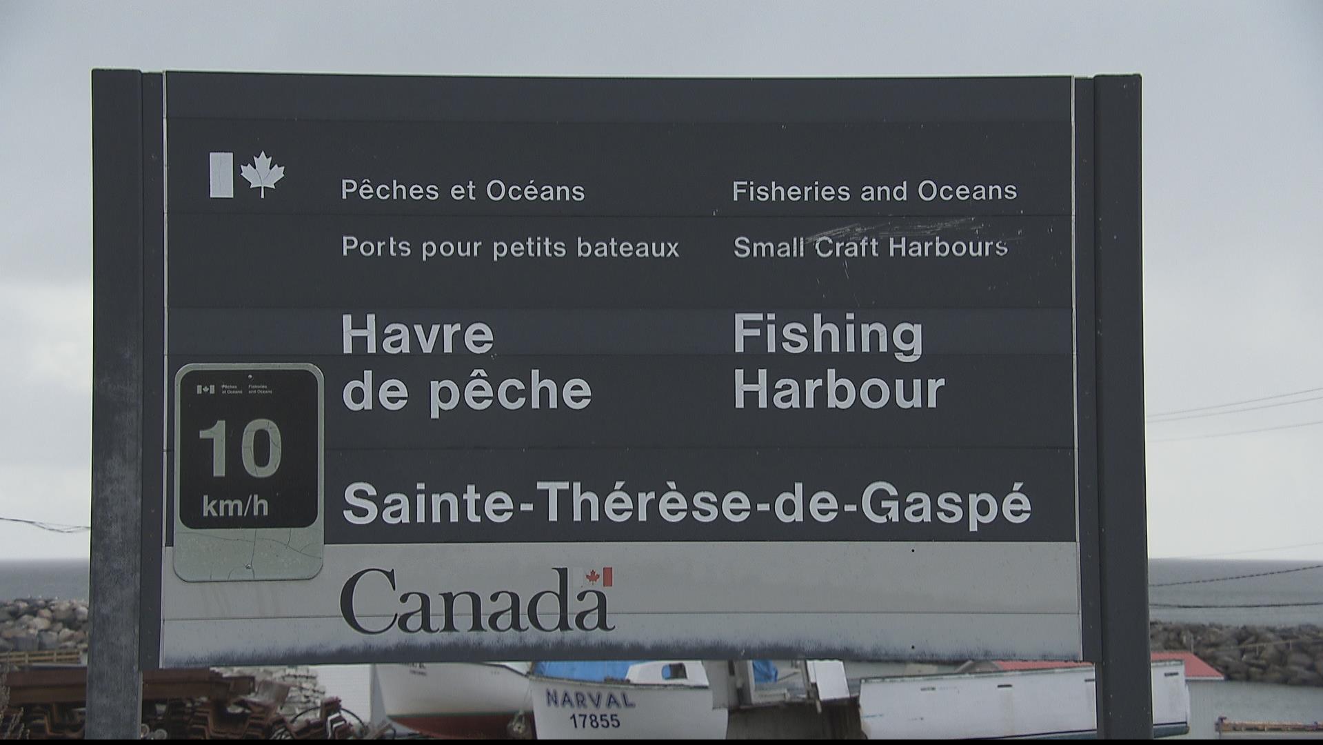 Investissement de 16 M du fédéral pour des quais de pêcheurs au Québec RadioCanada.ca
