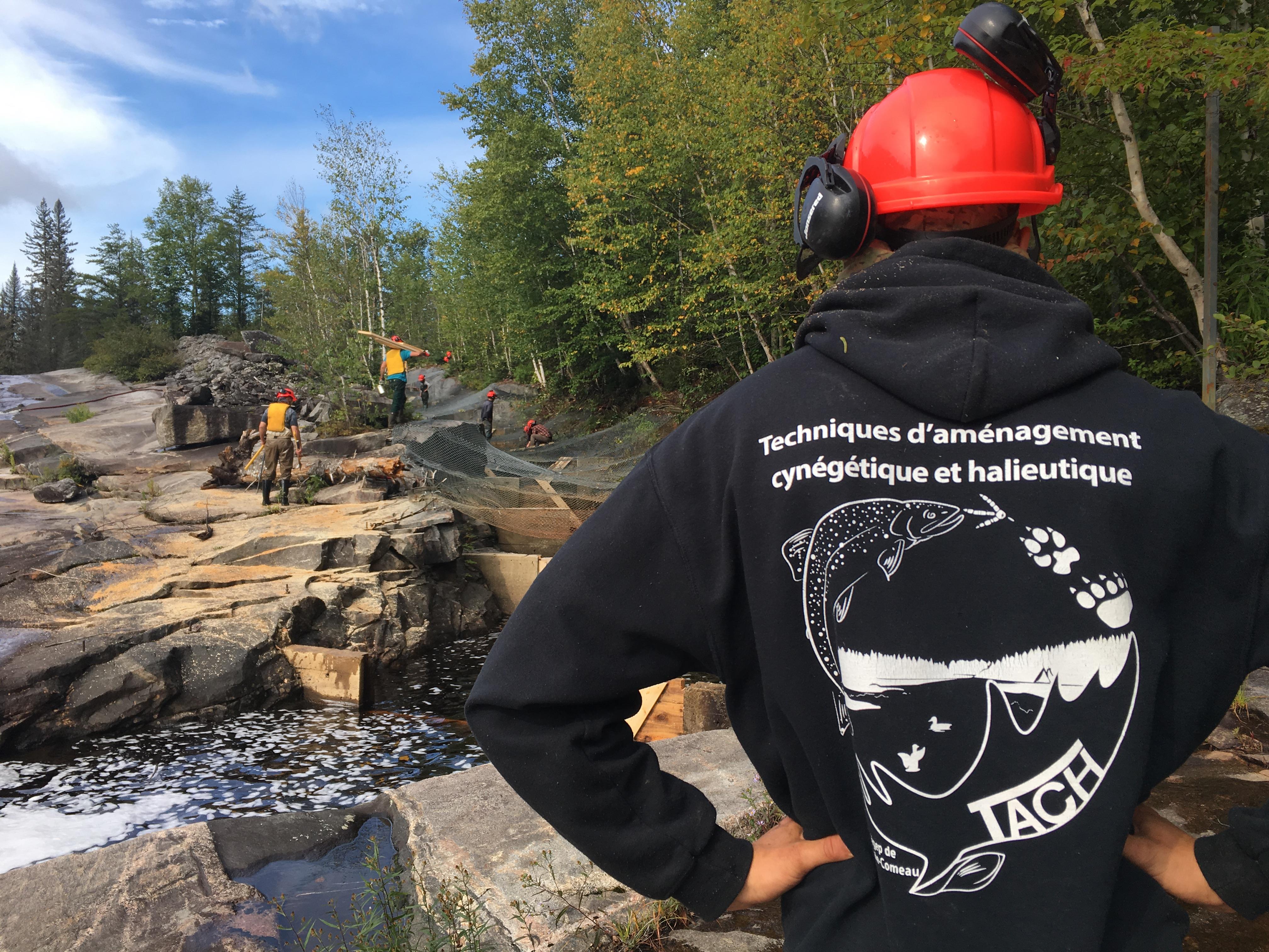 Une salle de classe en plein air pour des étudiants du Cégep de Baie