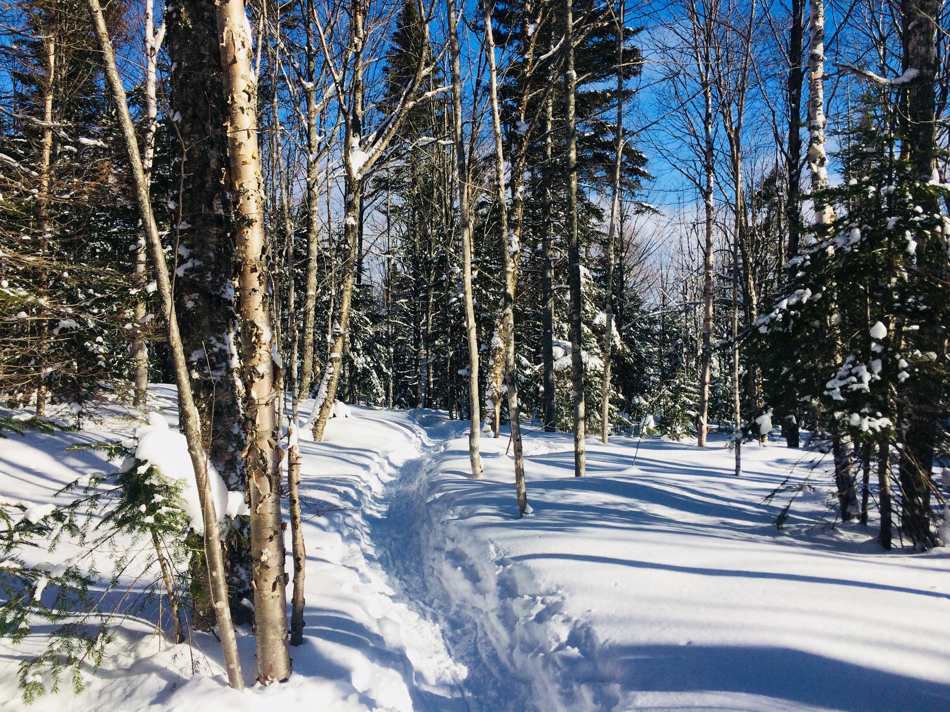 Un plus grand choix d’activités hivernales à Carleton-sur-Mer | Radio