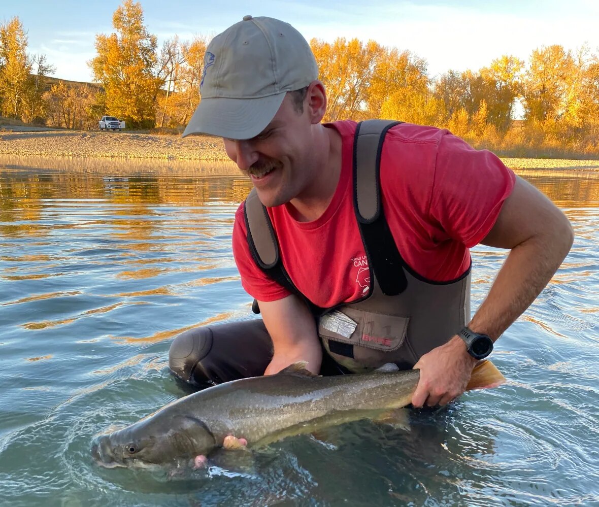 Des Albertains sauvent des milliers de poissons coincés dans les canaux