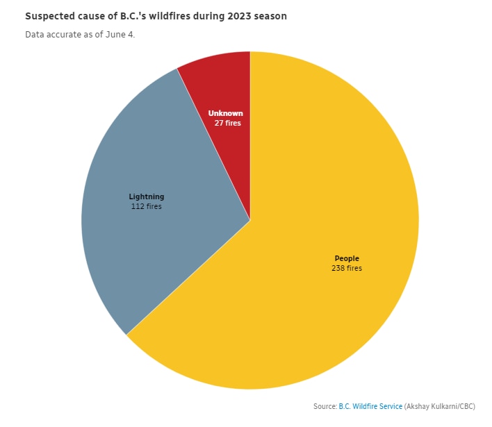 B.C. Wildfire Season Already Setting Records As More Hot Weather On ...