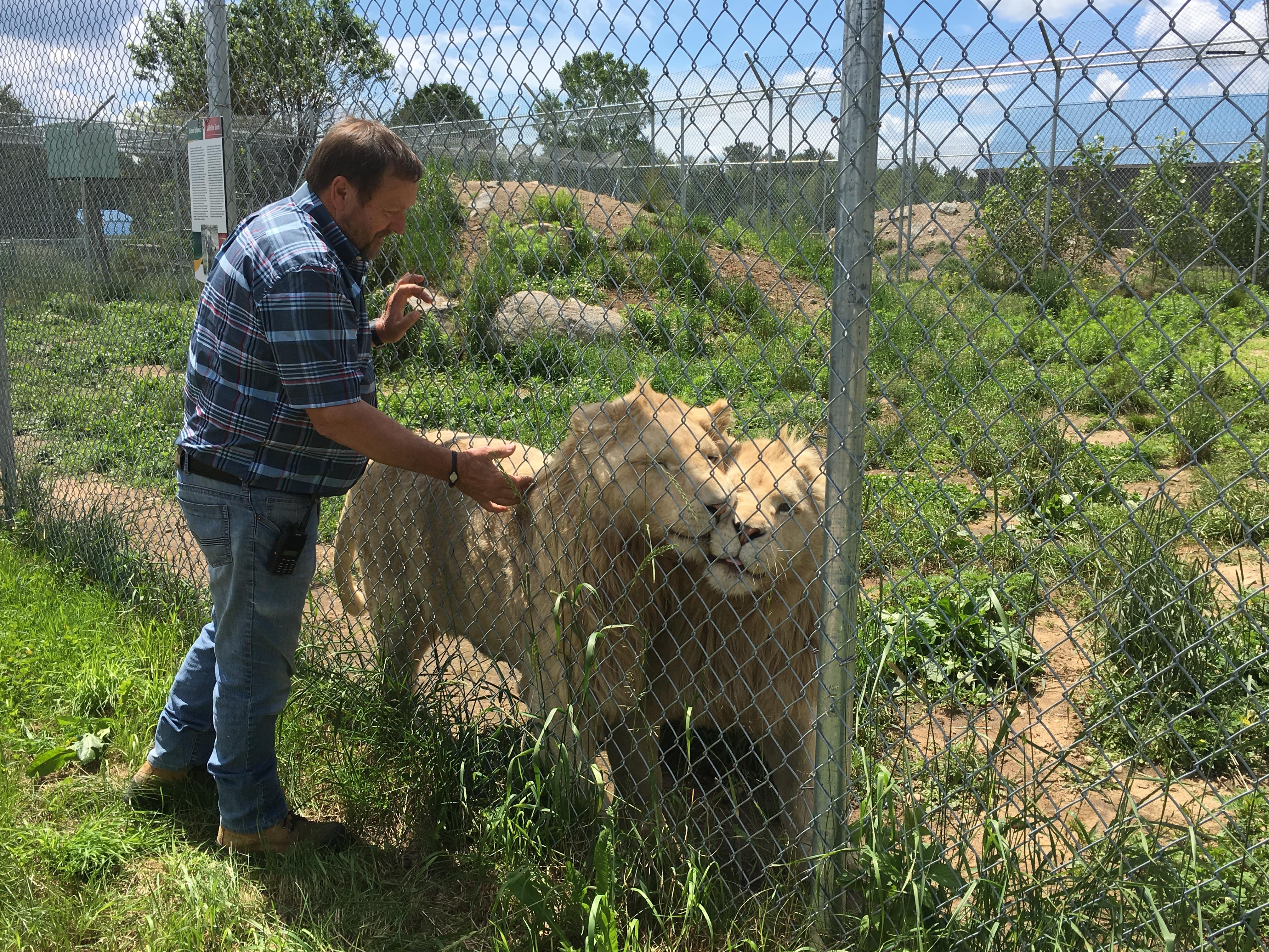 Zoo A Vendre En Mauricie Radio Canada Ca