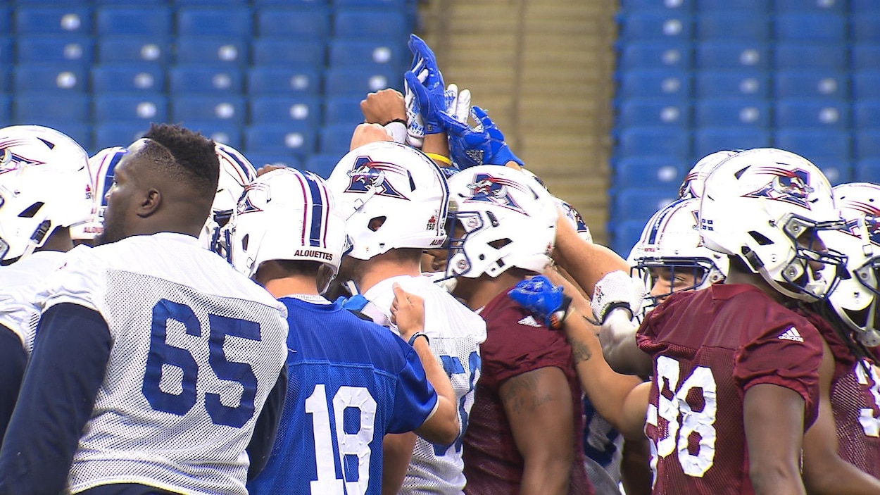 Les Alouettes Prepareront Leur Saison Au Stade Olympique Radio Canada Ca