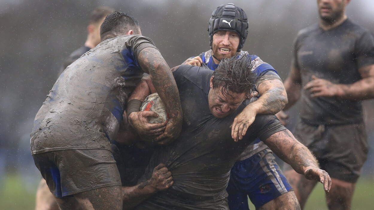 Un Premier Match A Toronto Pour Le Wolfpack Radio Canada Ca