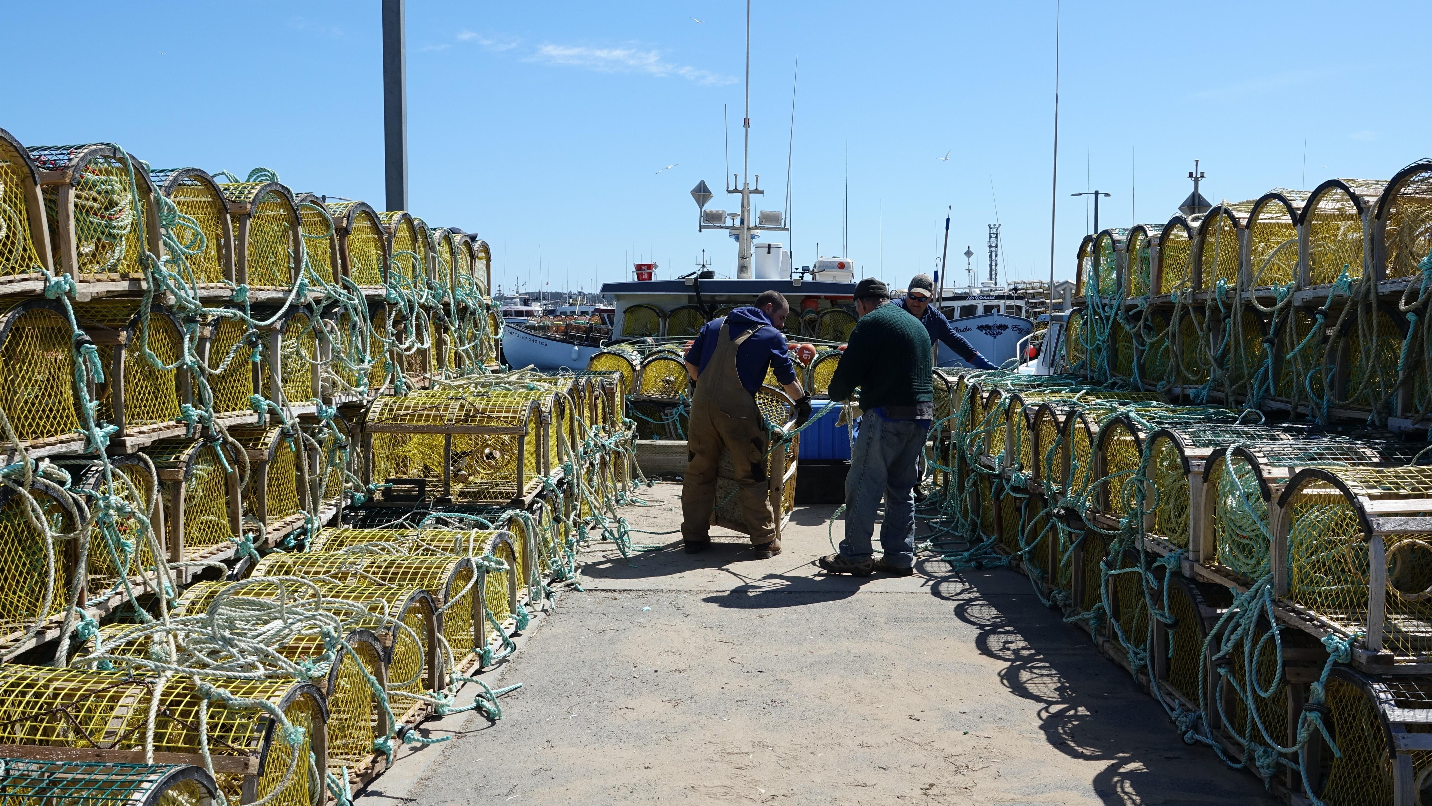 Escale aux Îles : Visite de l’usine Fruits de mer Madeleine