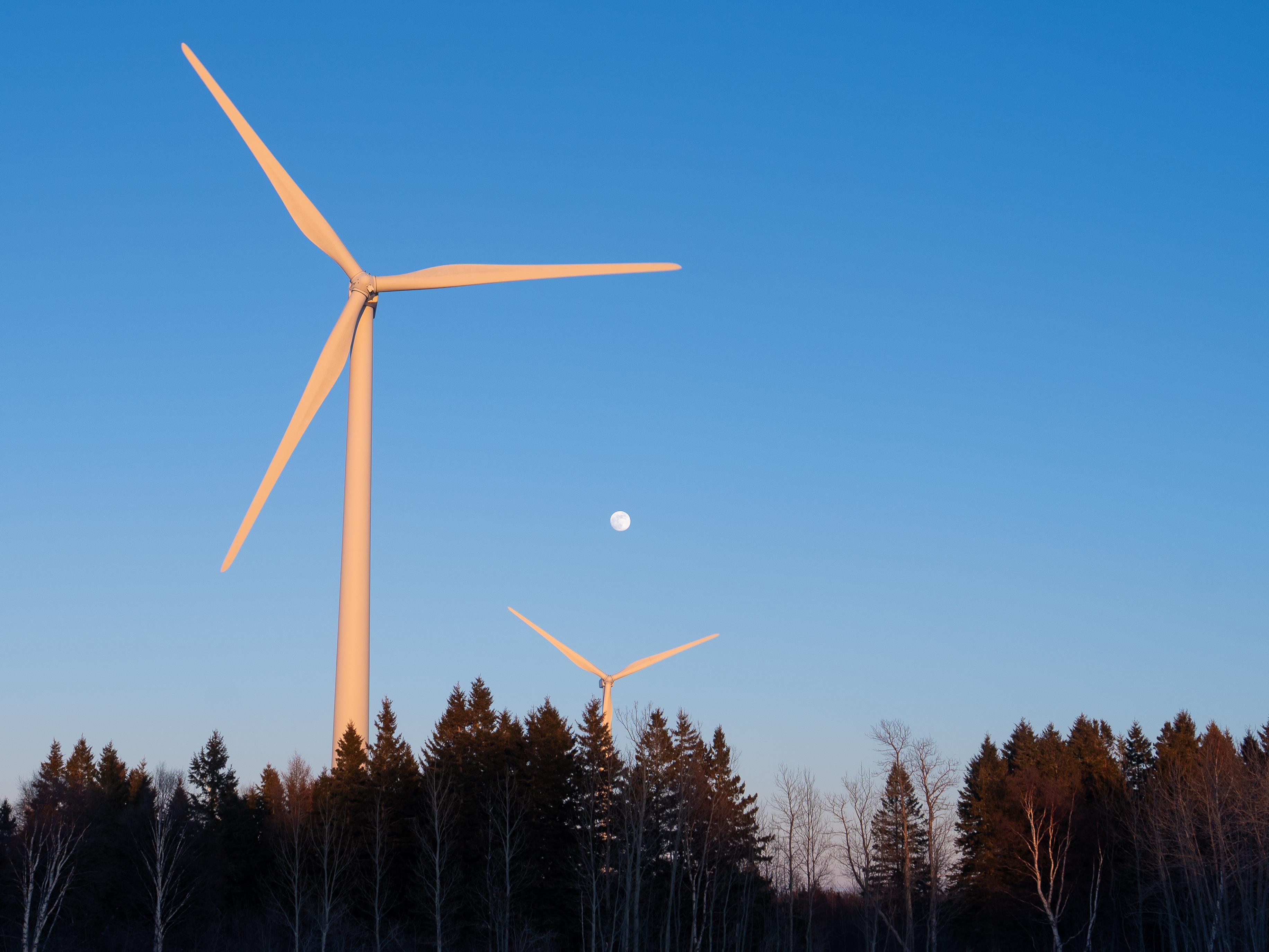Des pales d’éoliennes bientôt recyclables?