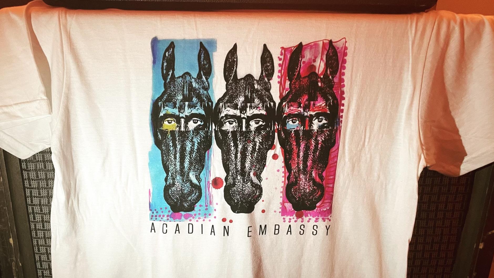 Un t-shirt promeut le lien entre les chevaux de l'île de Sable et l'Acadie