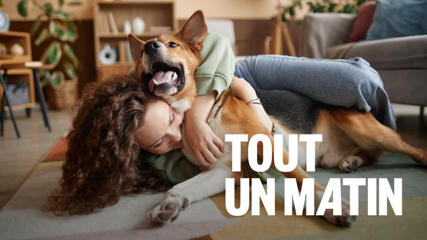 Maintien des animaux domestiques dans les logements : les propriétaires s’inquiètent