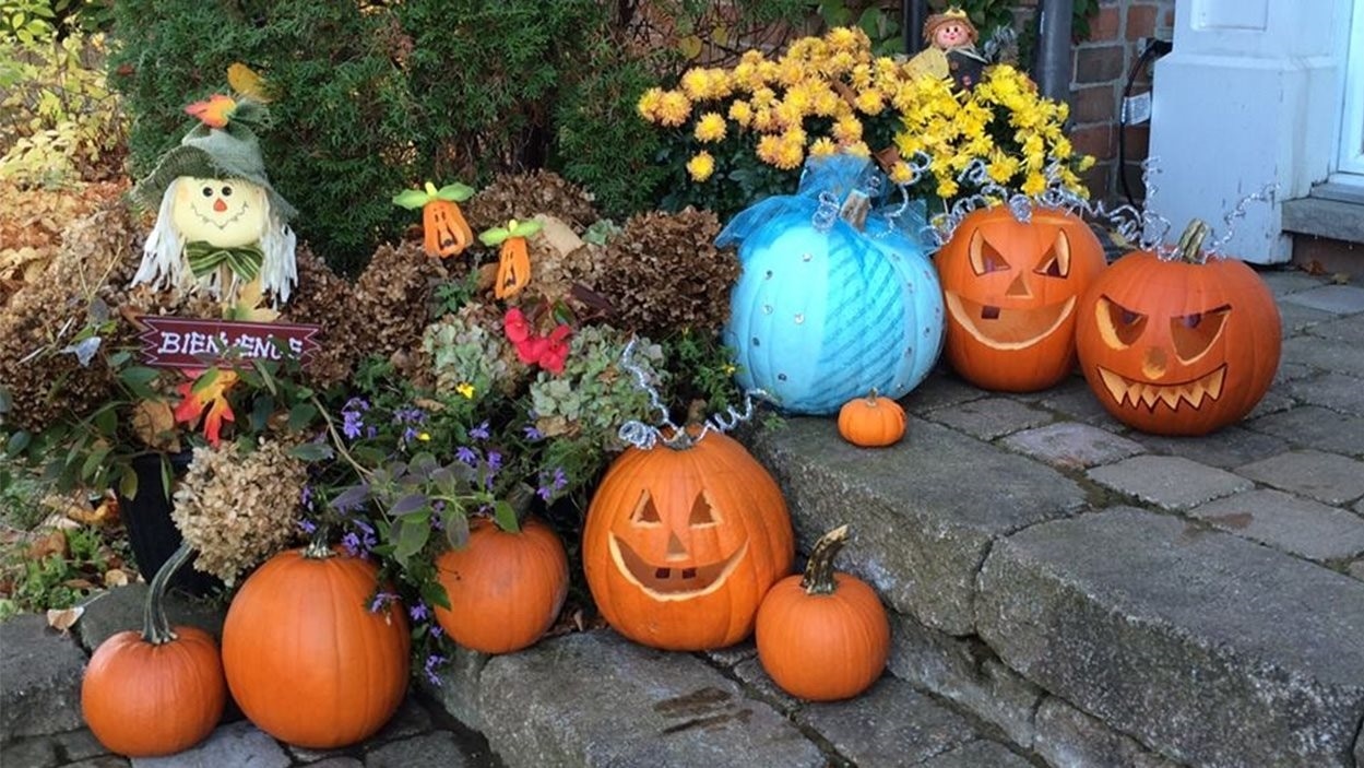 Une citrouille turquoise pour l’Halloween!