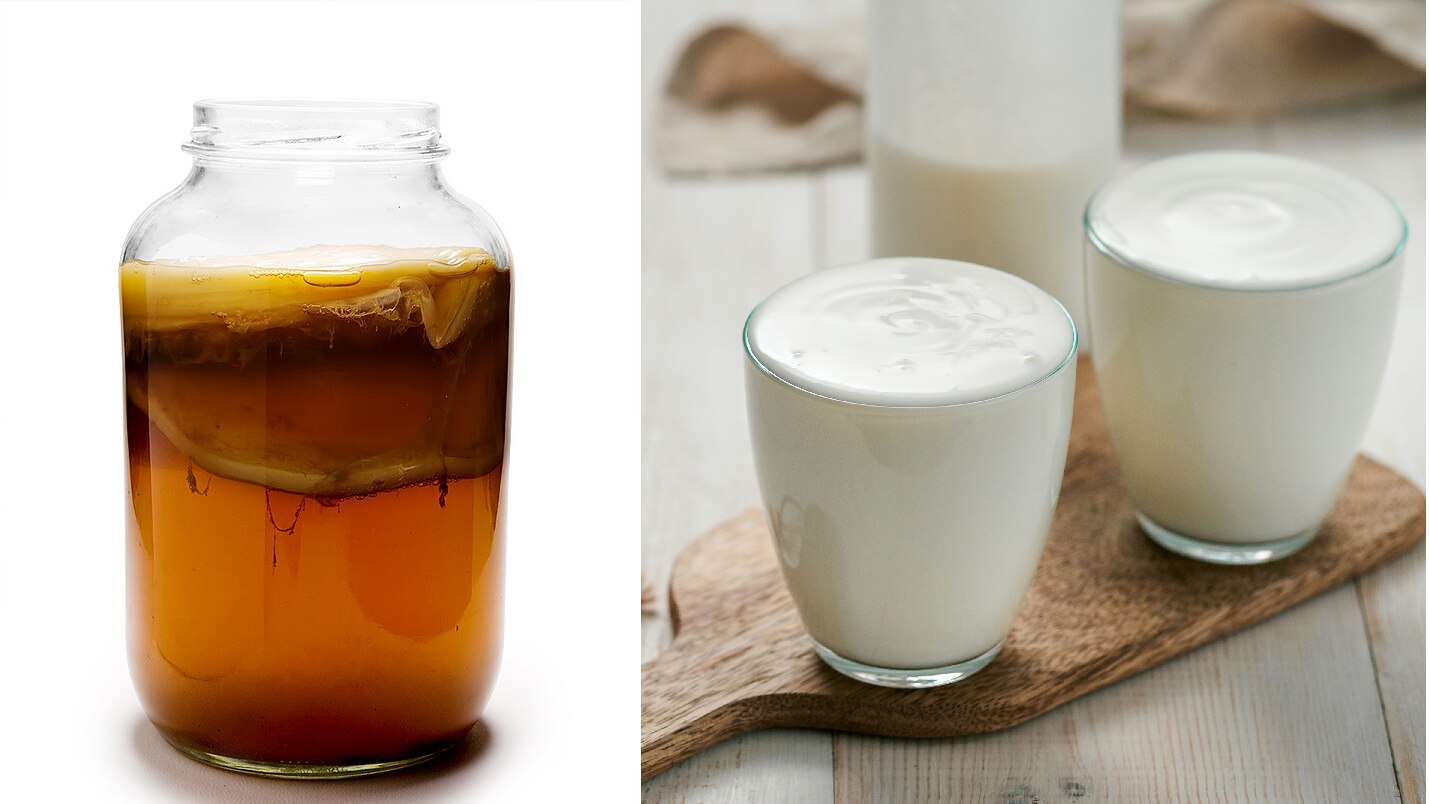 Kombucha vs Kéfir. La fermentation a la cote !
Kombucha vs Kéfir. La fermentation a la cote !