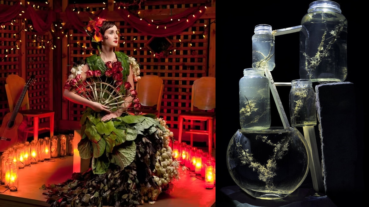 Les fibres écolos de Laura St-Pierre et Nicole Dextras
Les fibres écolos de Laura St-Pierre et Nicole Dextras