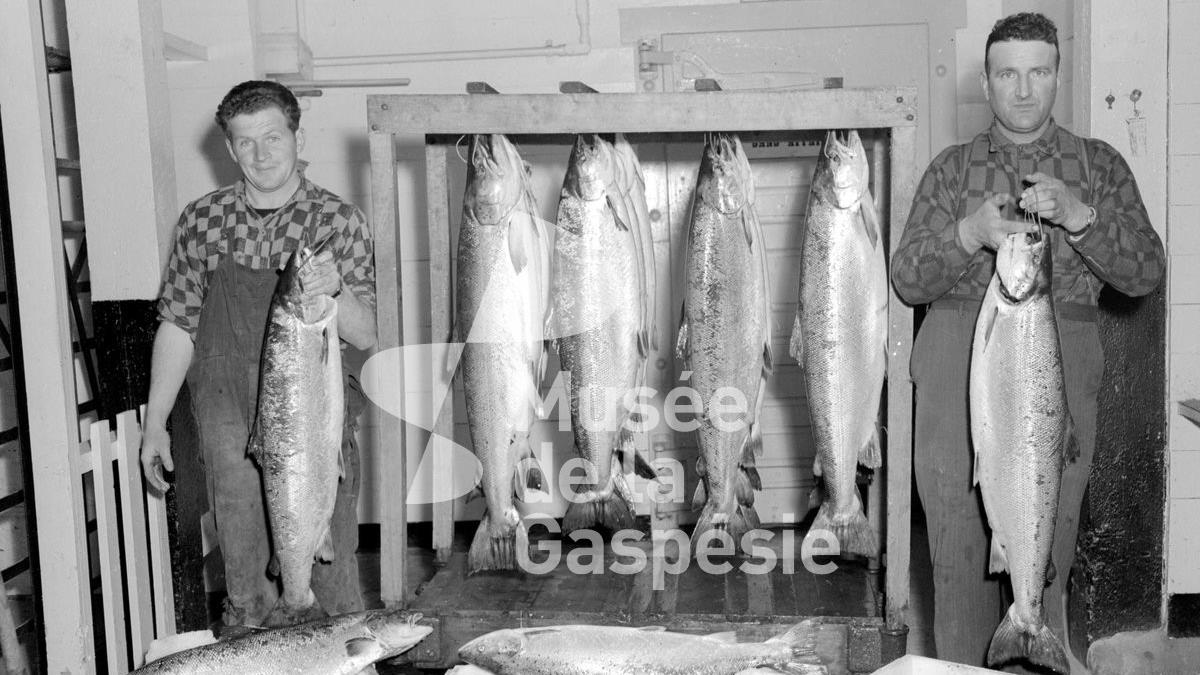 ll y a un siècle naissait la coopérative des pêcheurs de Carleton