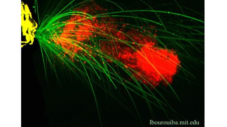 L'importance des aérosols dans la transmission du virus de la COVID-19
L'importance des aérosols dans la transmission du virus de la COVID-19