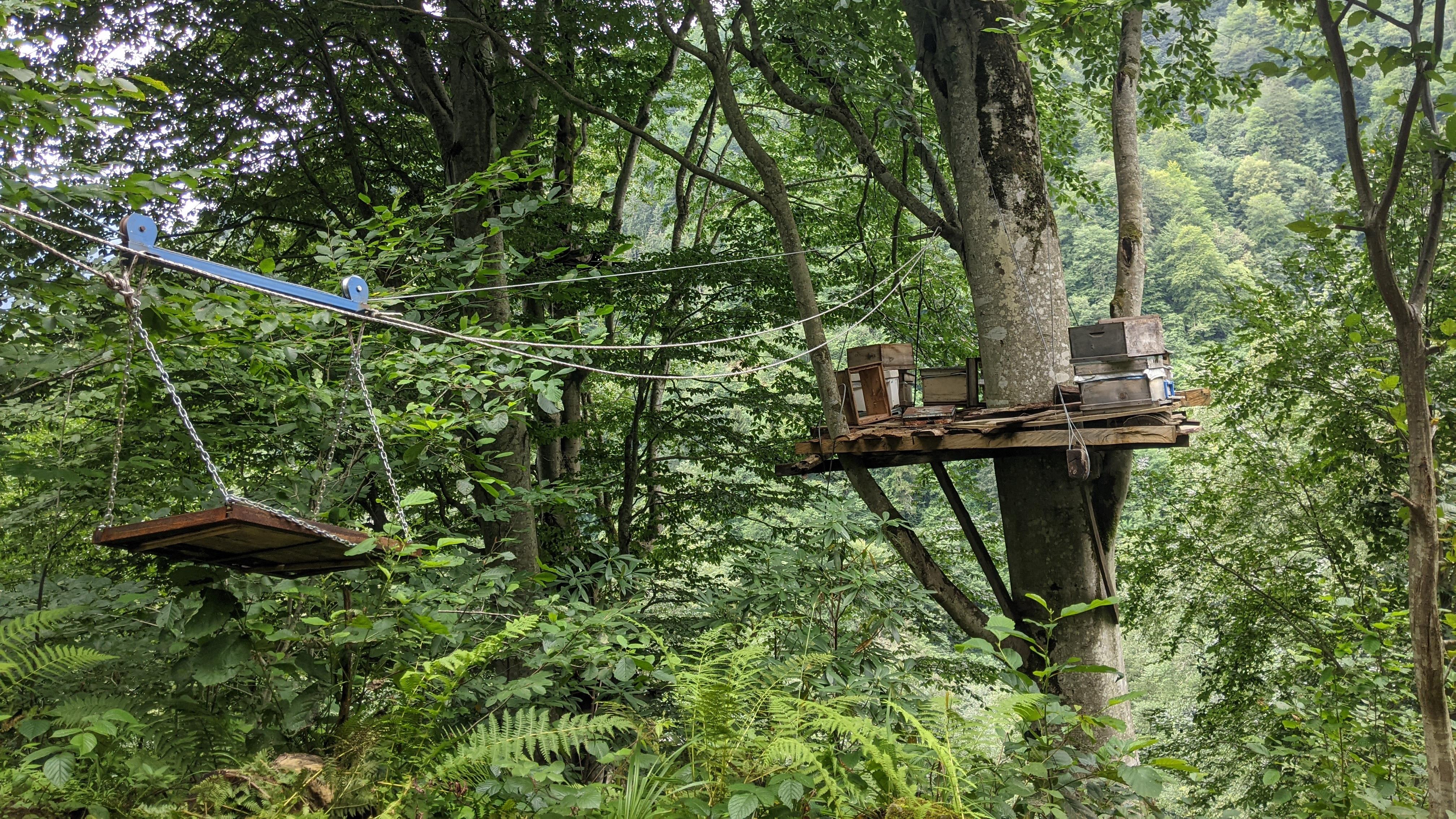 Chronique voyage : découvrir la générosité autour du monde
Chronique voyage : découvrir la générosité autour du monde