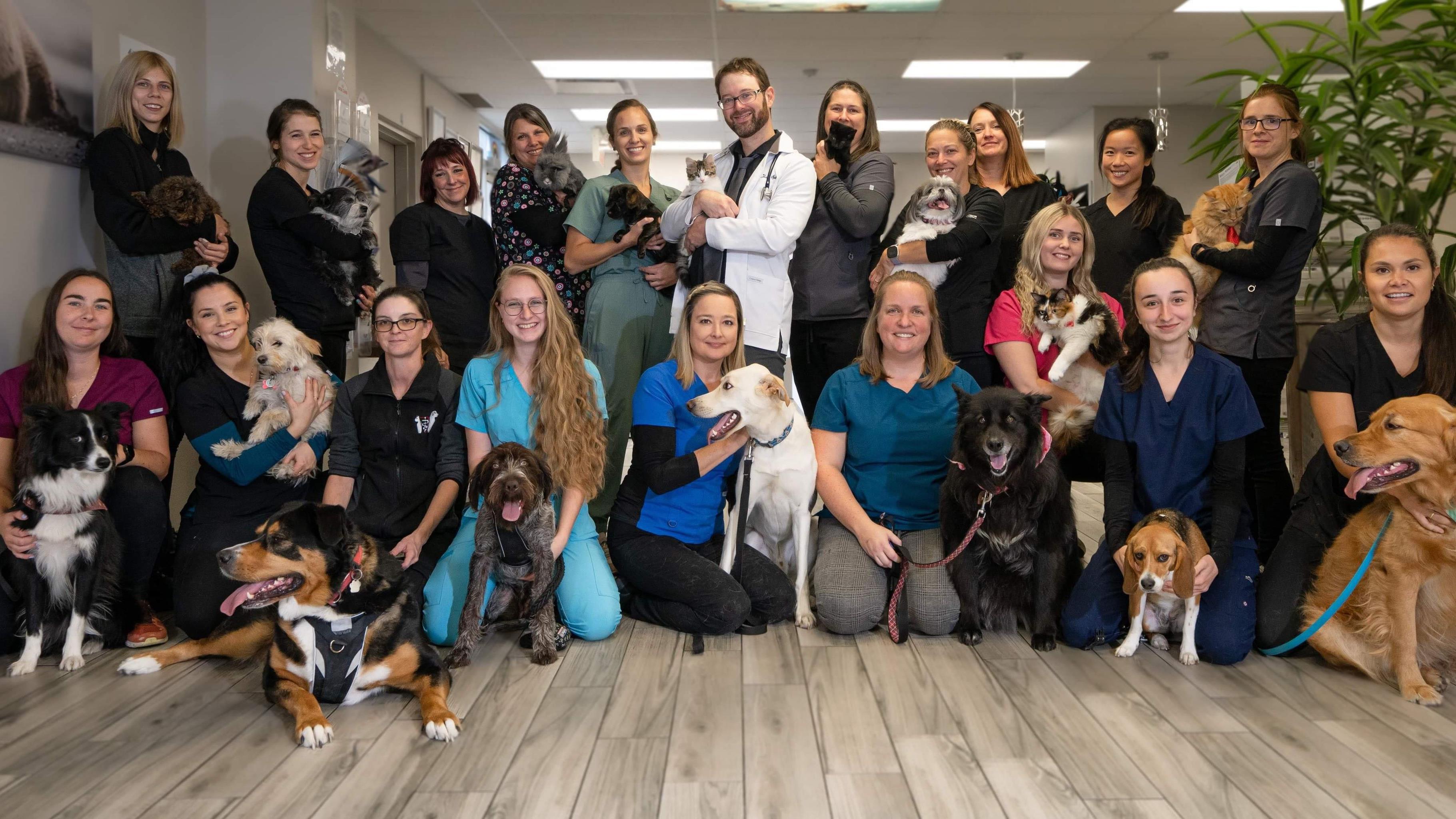 Rareté de vétérinaires sur la CôteNord