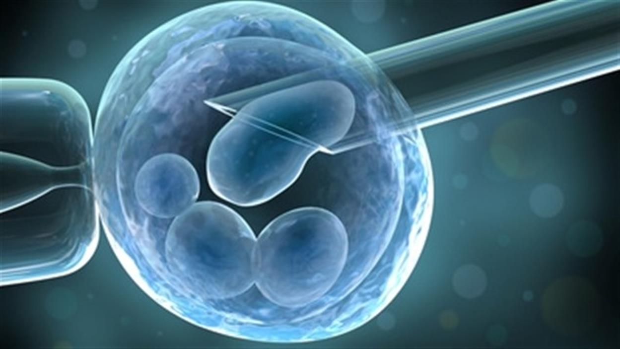 La fÃ©condation in vitro dÃ©sormais gratuite pour les moins de 40 ans